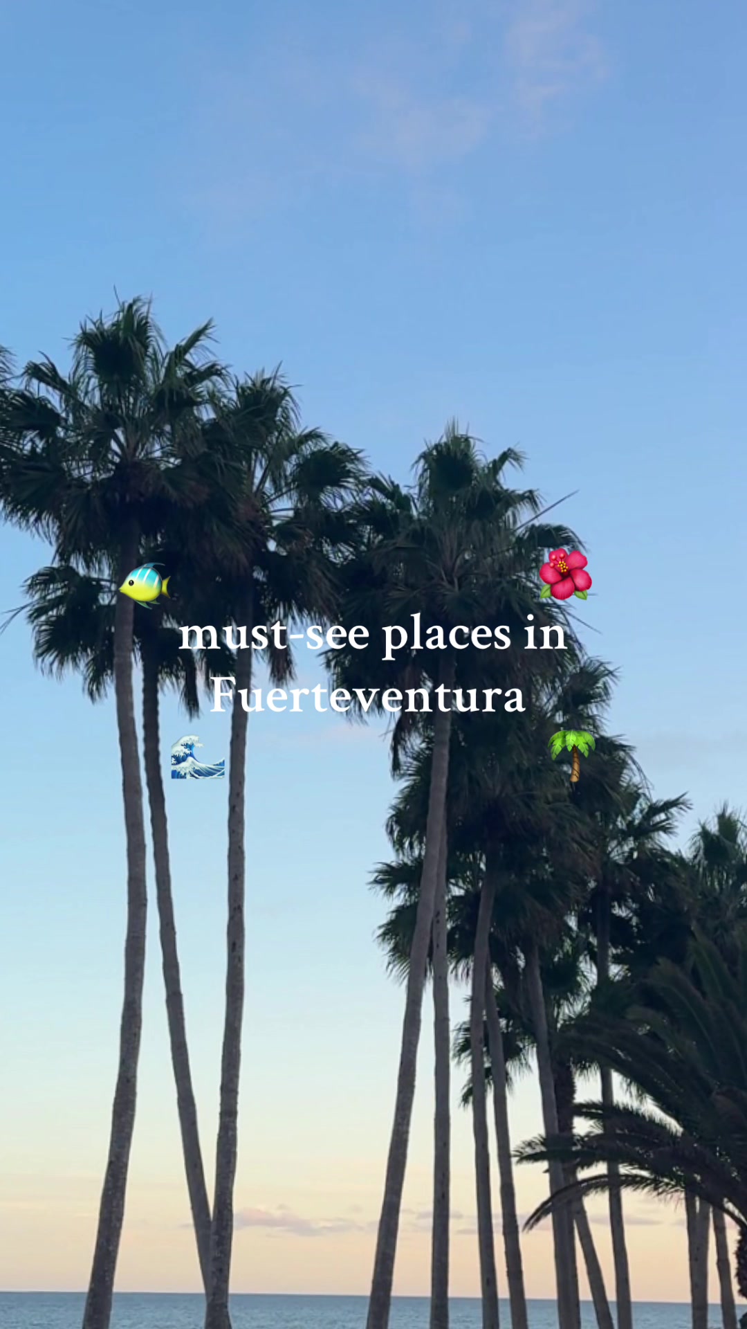 @leonaxe