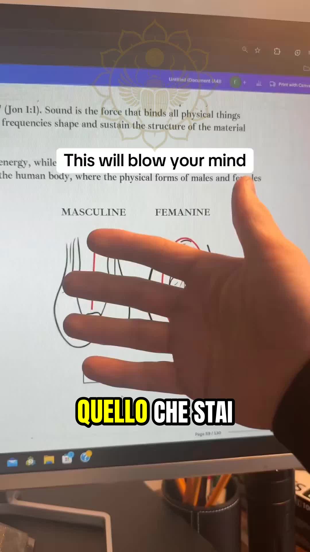 @Cognitio