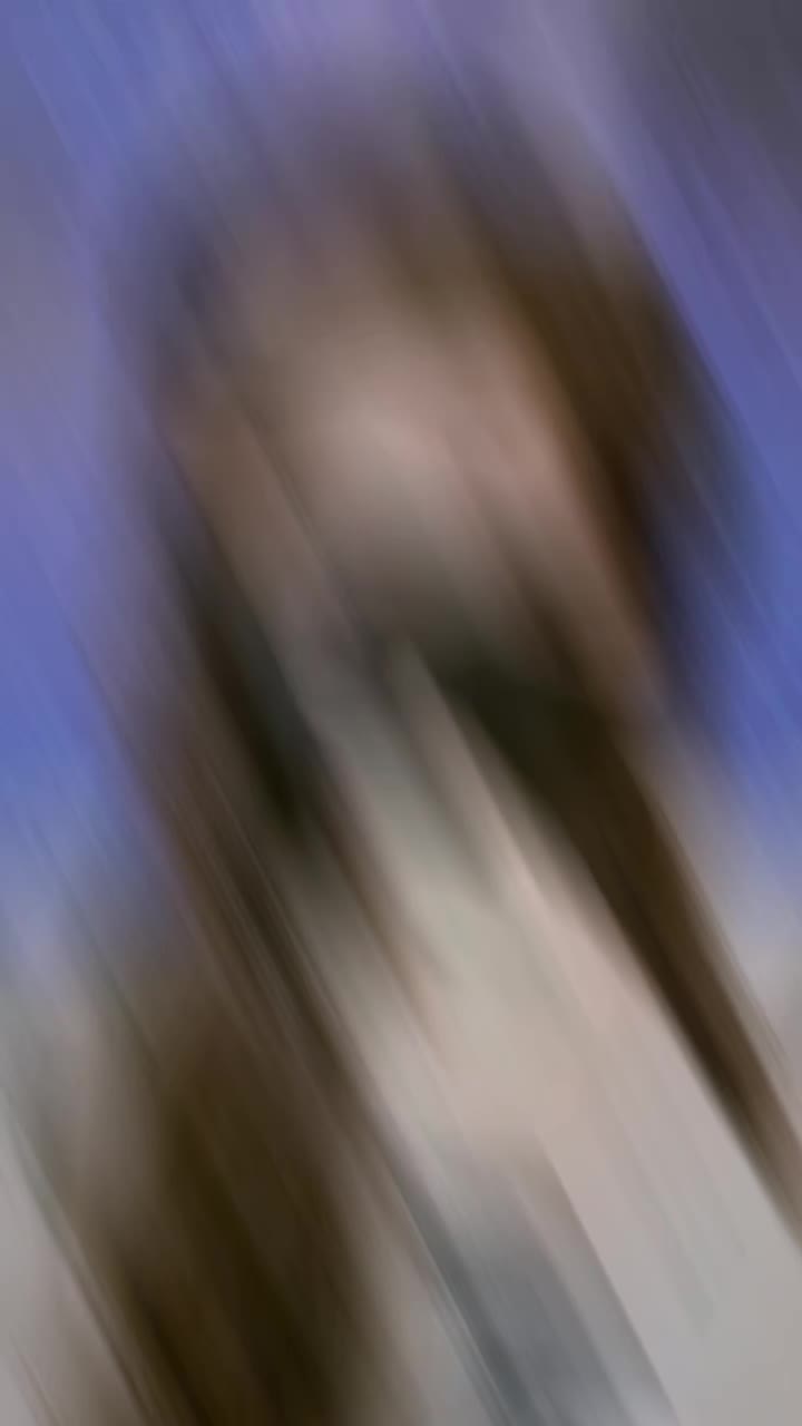 @๐ฝ๐๐๐ฎ ๐๐ค๐ฃ๐จ๐ฉ๐๐ง
