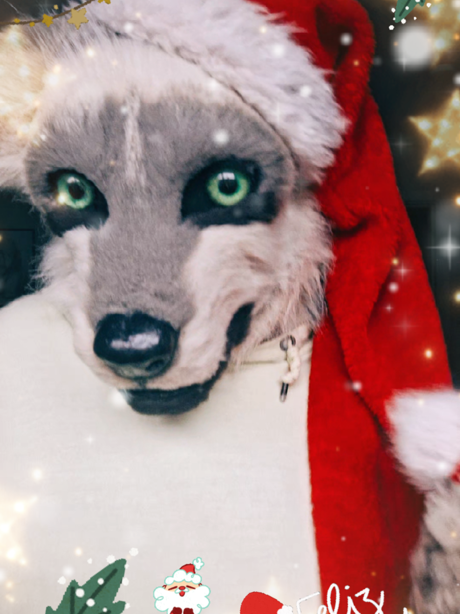 @ℂ/𝕃 🌟