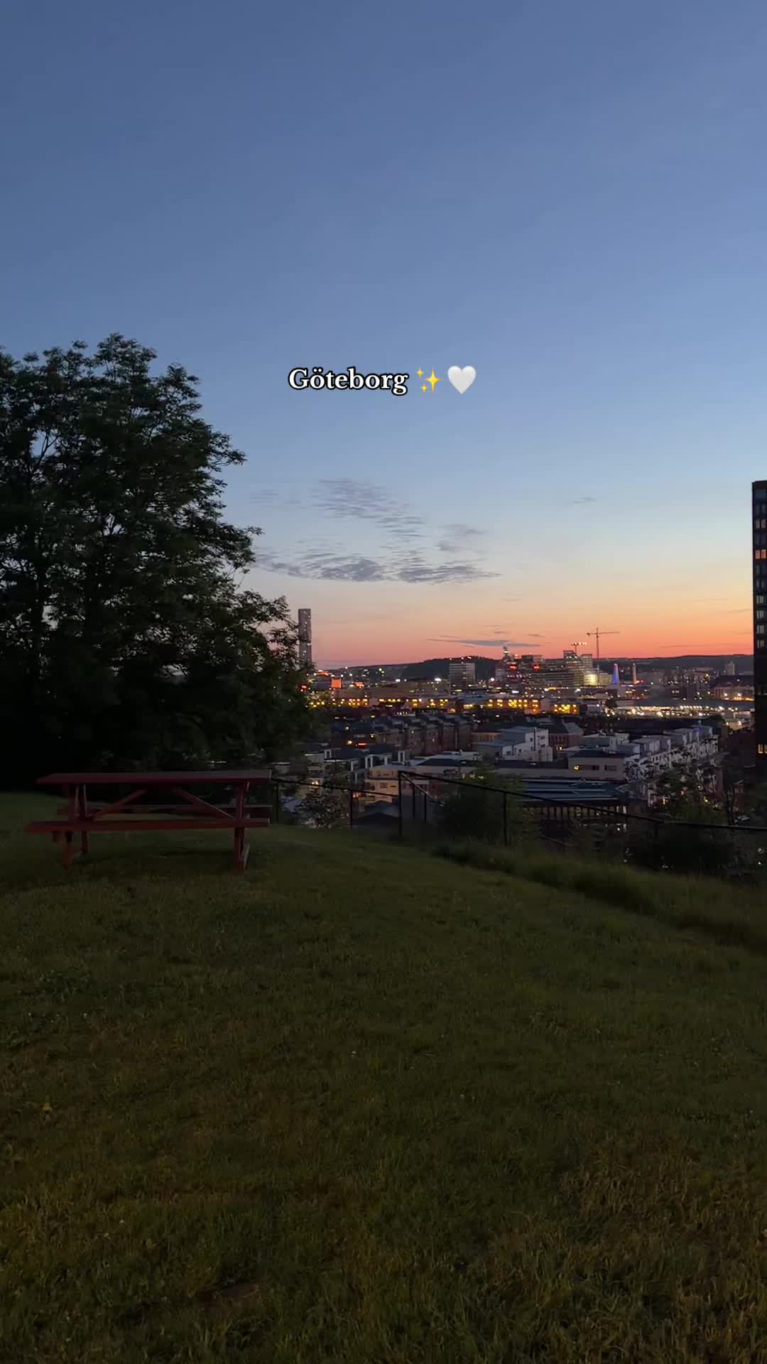 @joee.shots