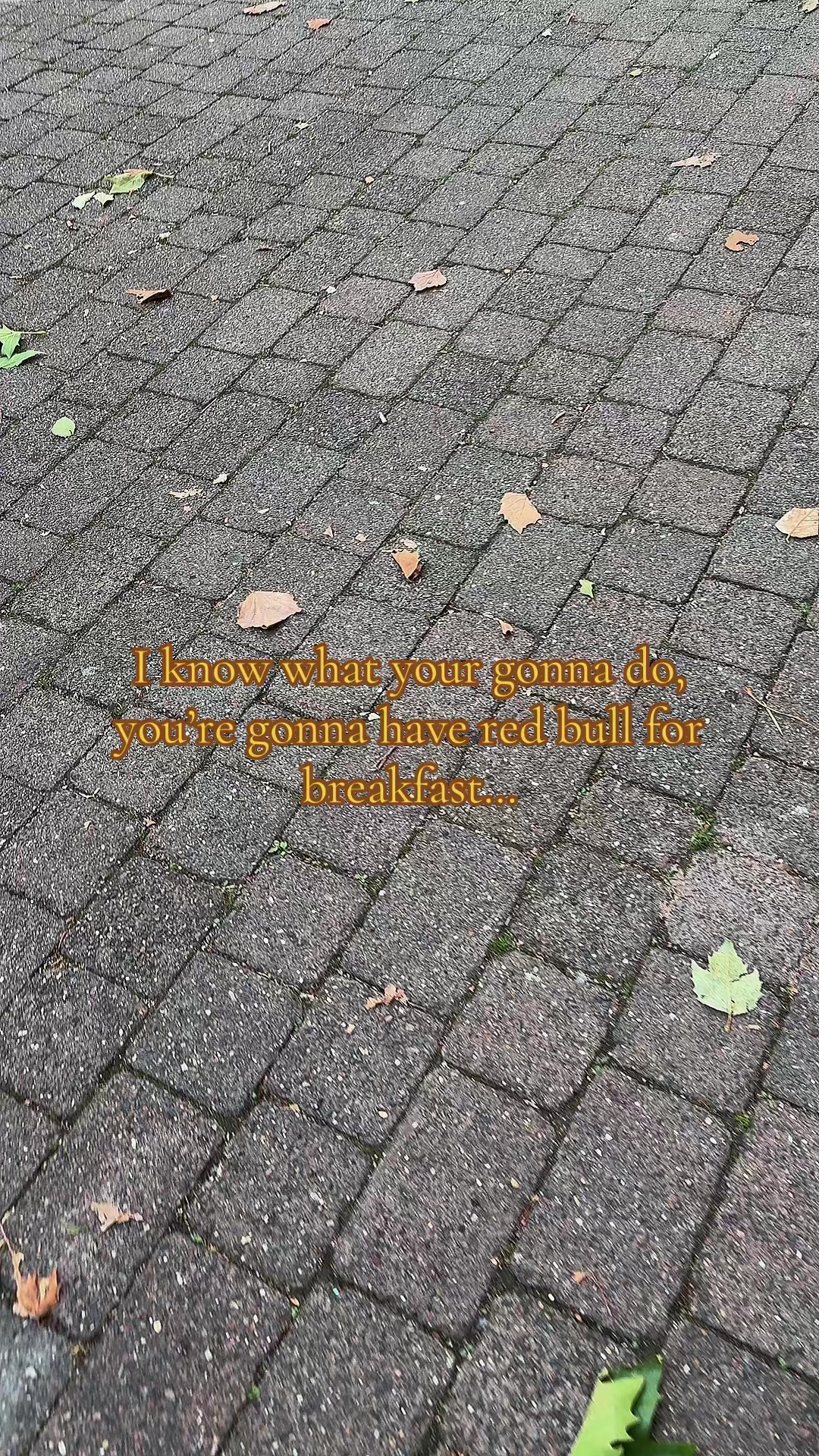 @kerri🦋