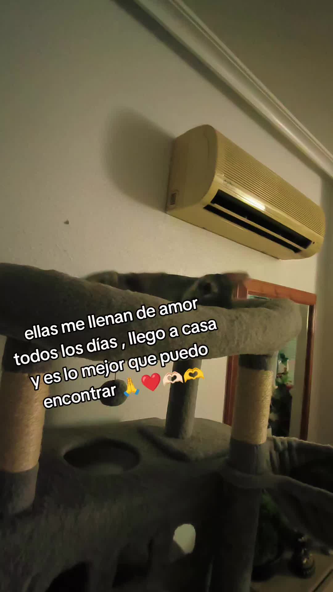@Noe la dulce