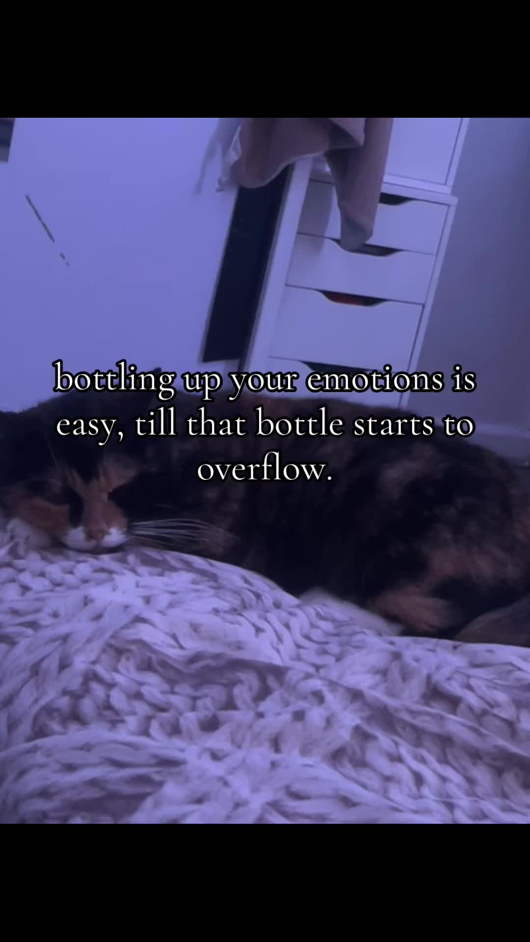 @themusicaholik🕰️🥑💋