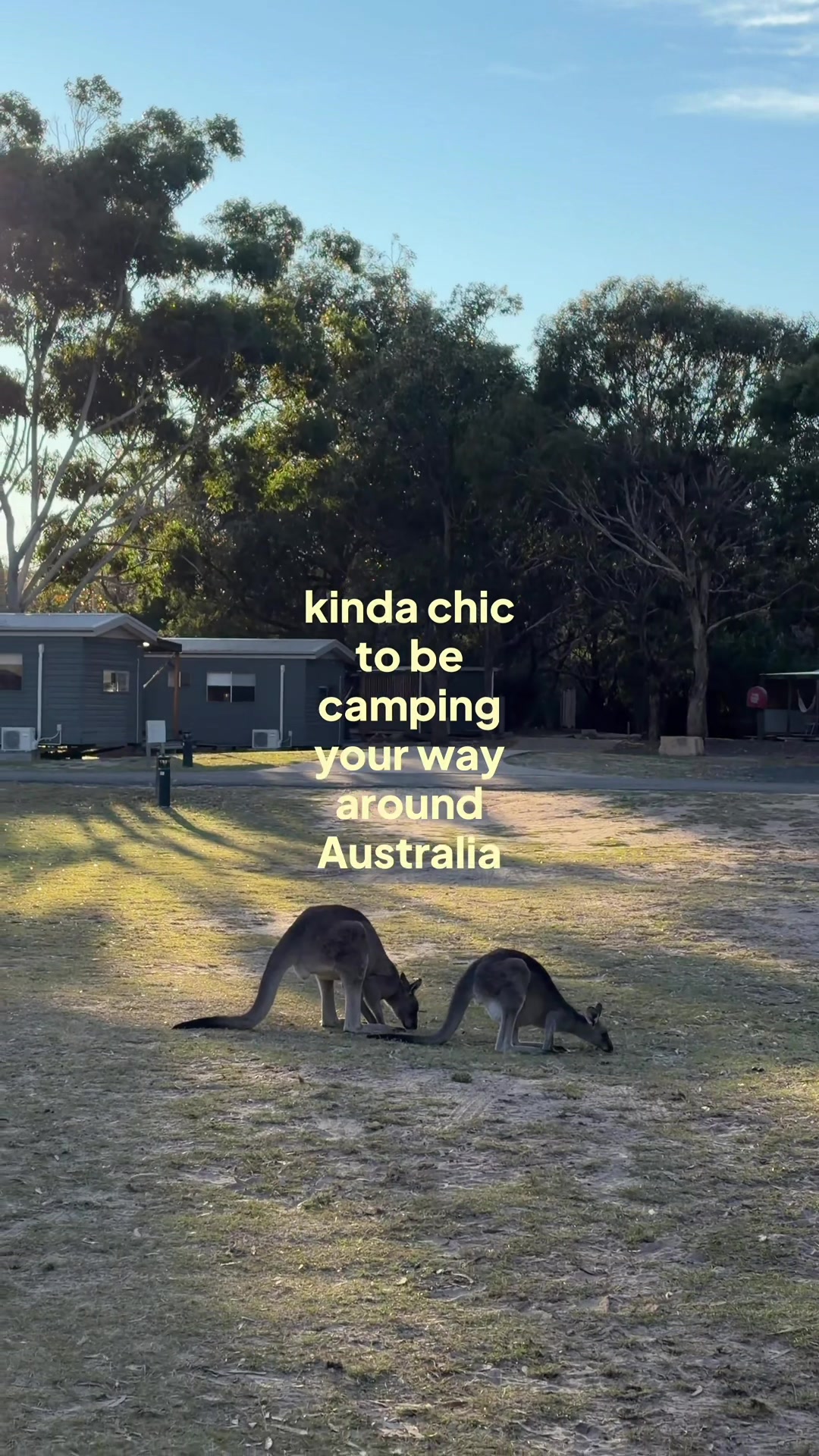 @Eleanor 𖦹 hiking & camping