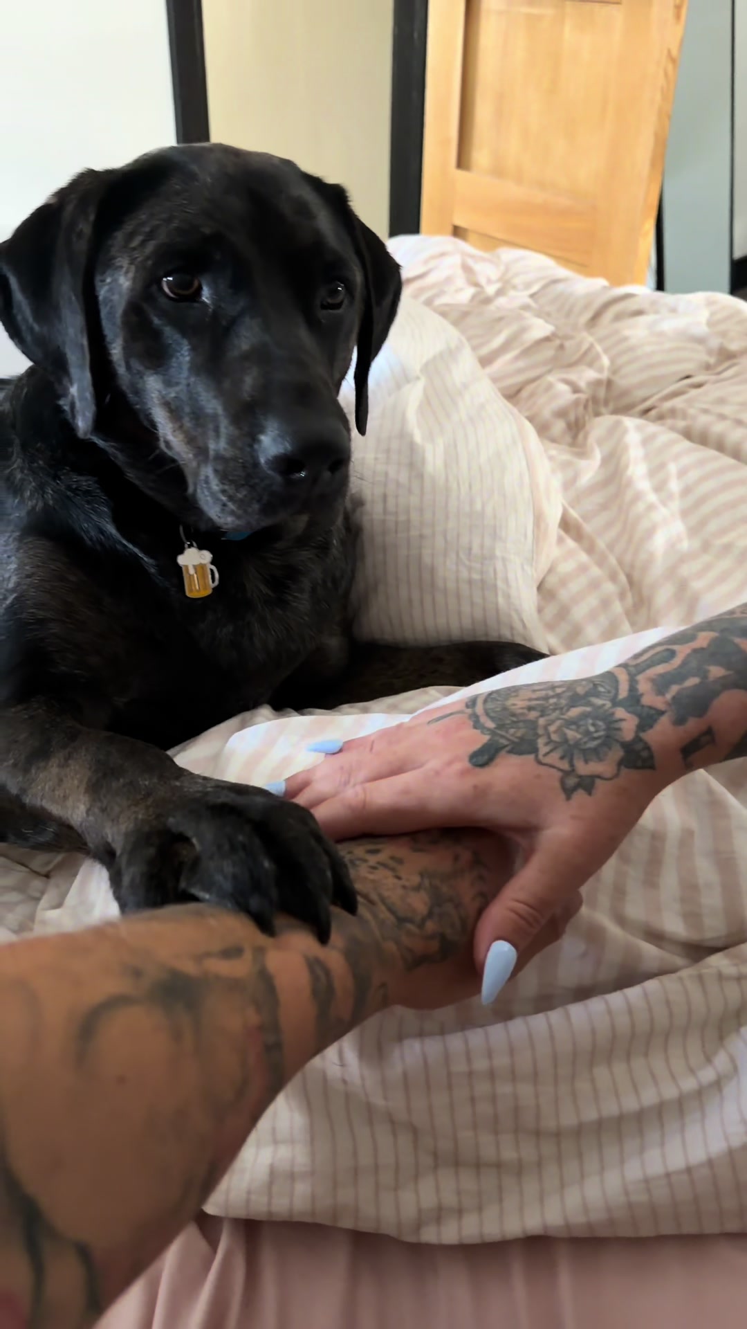 @Leotheleopardlab