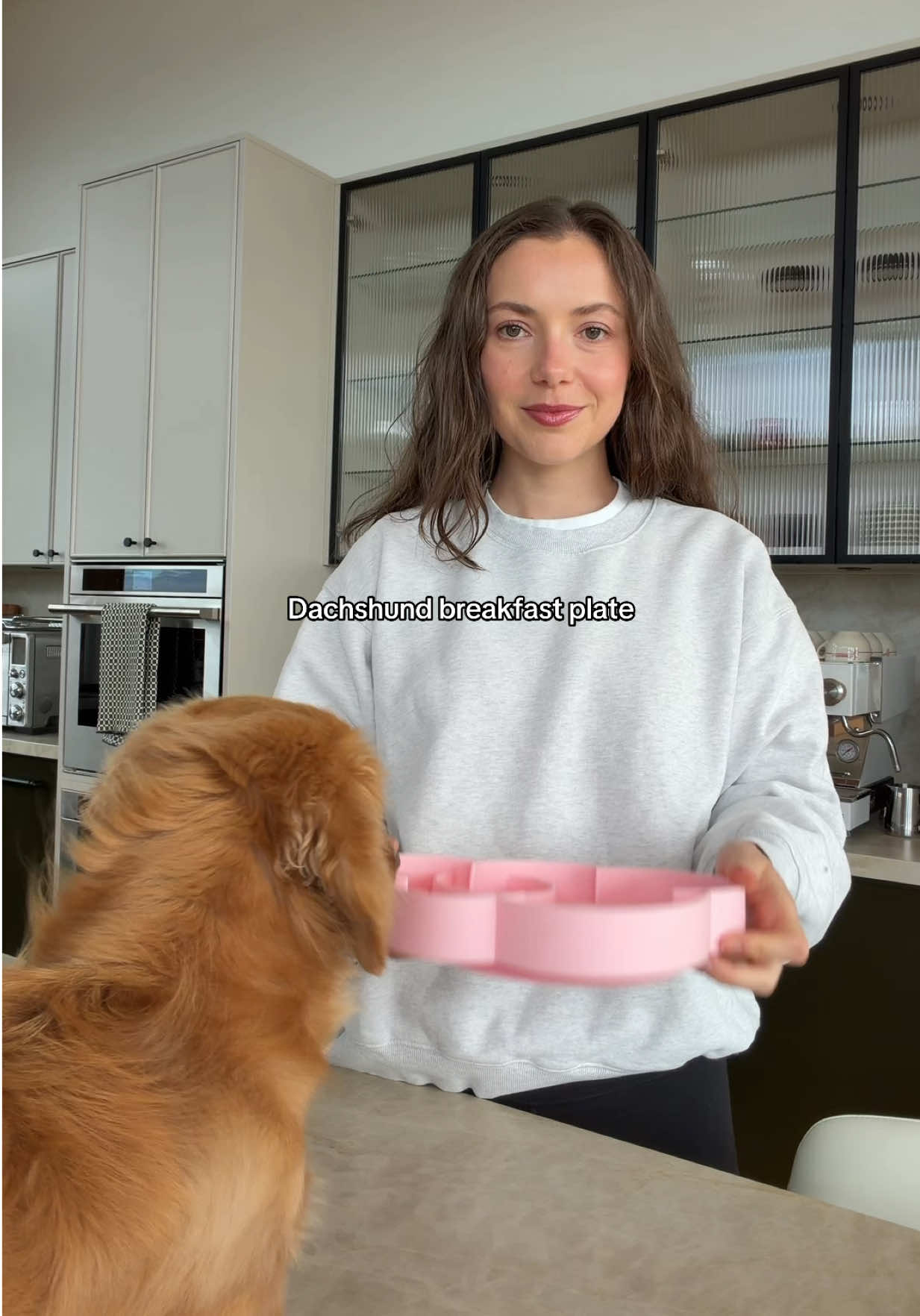 @cashewdachshund