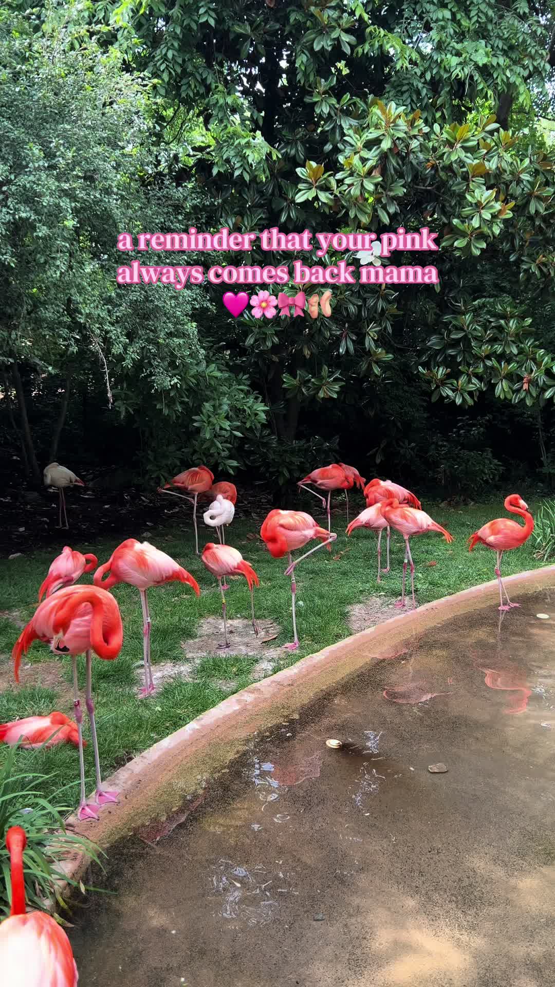 @darcy.mcdermott