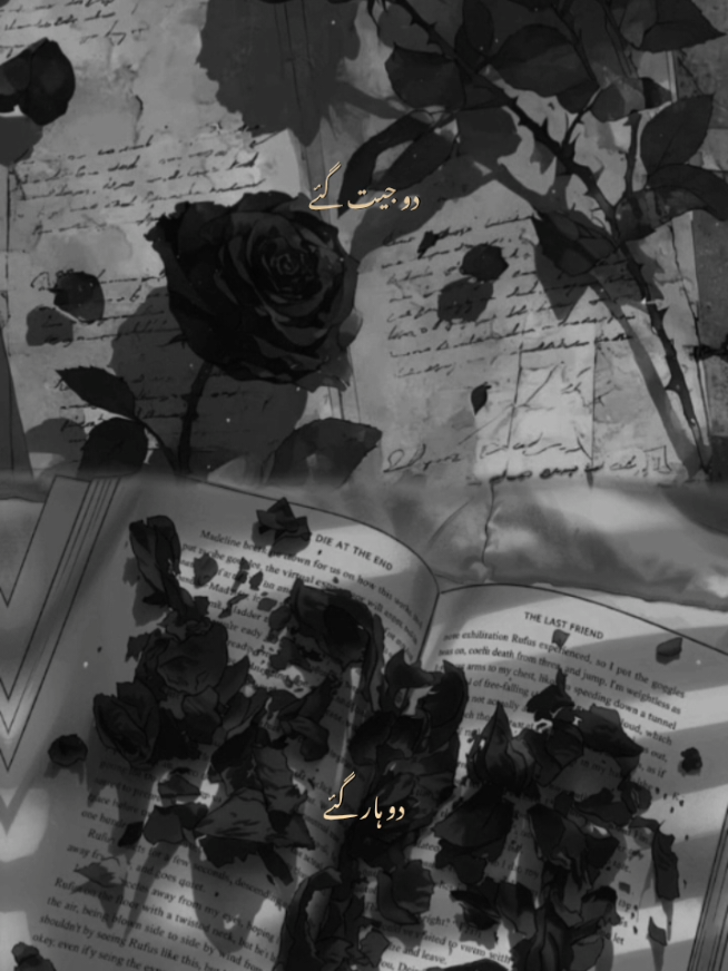 @ف🦋
