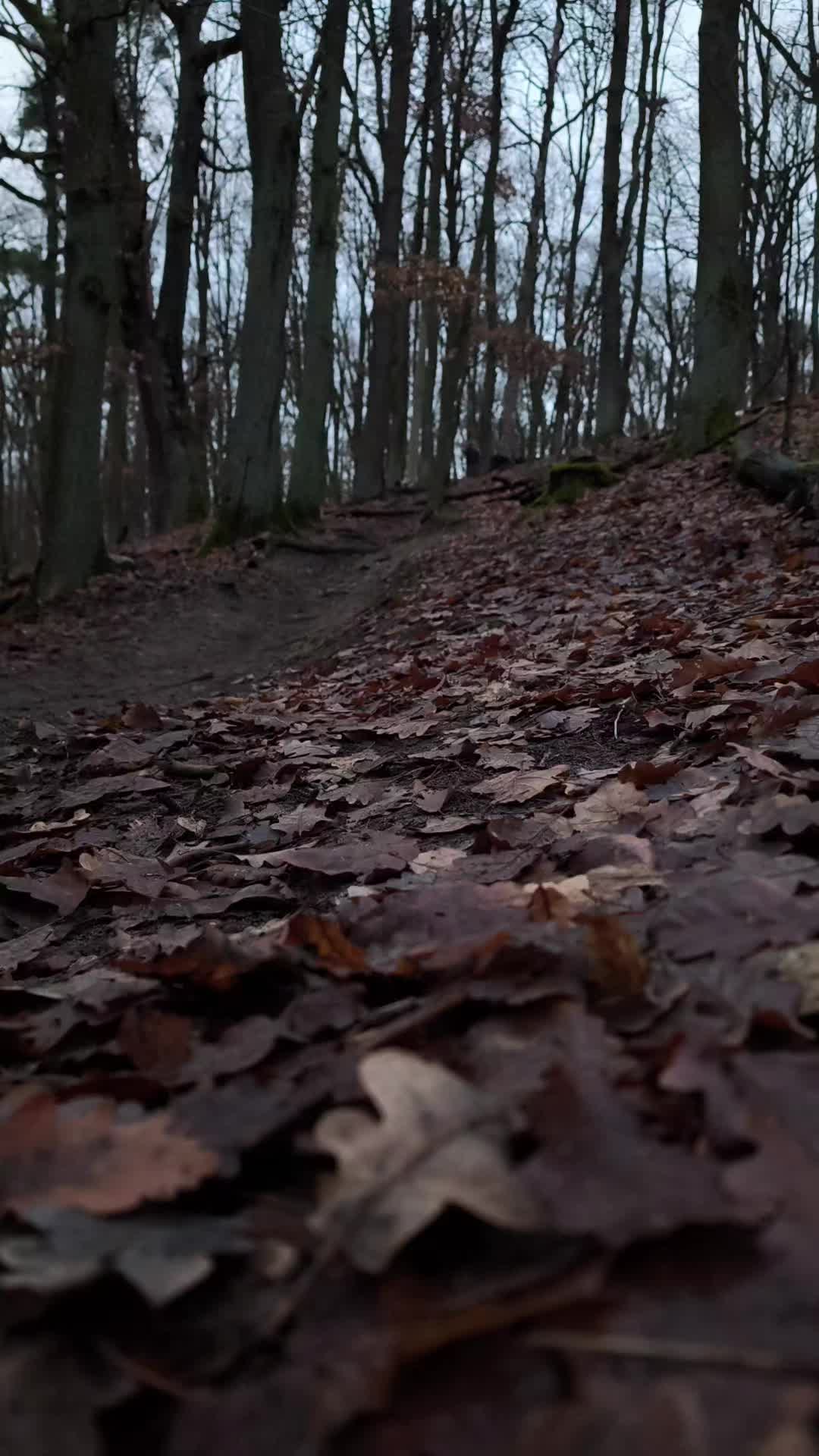 @LX_On_MTB