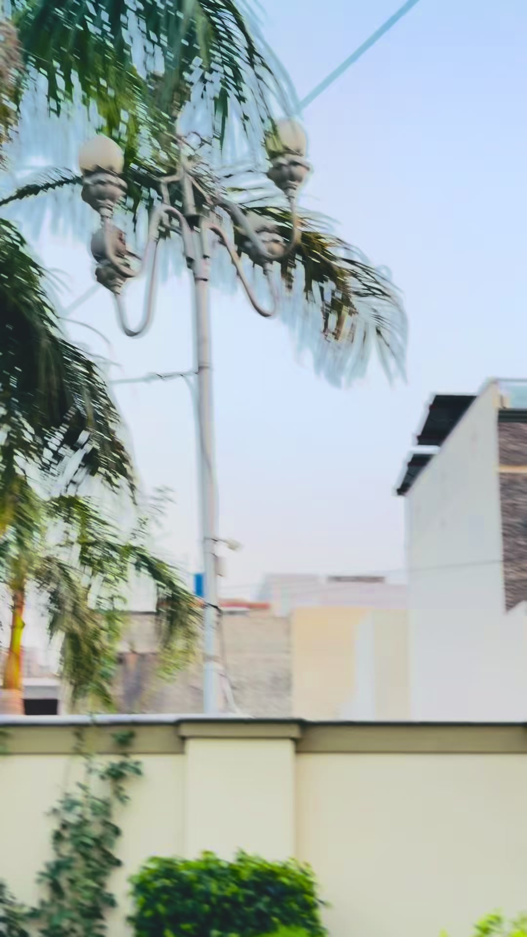 @فصیح بن عامر❤️
