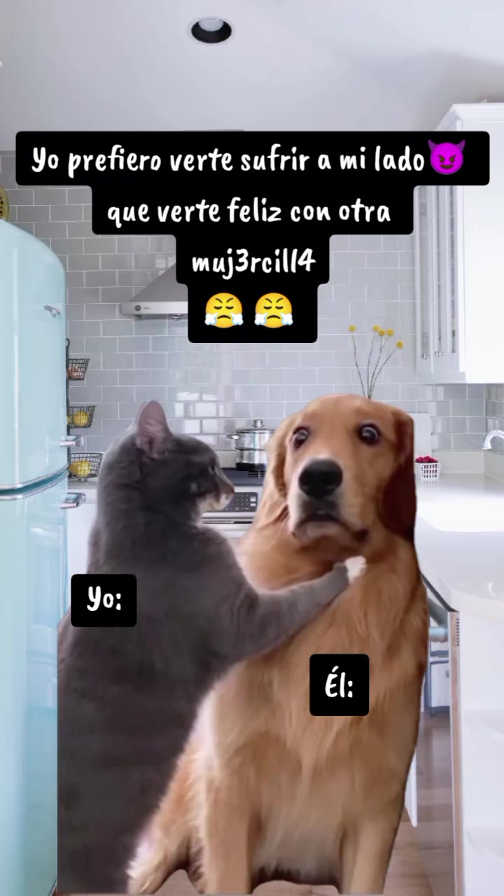 @memestristemariicruz🐈⬛ 🤣😔