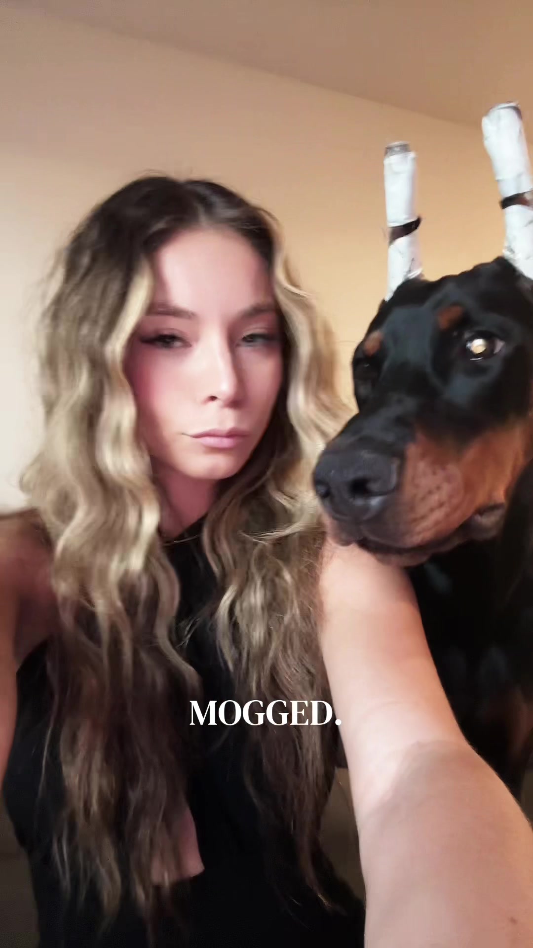 @The doberman girl🖤