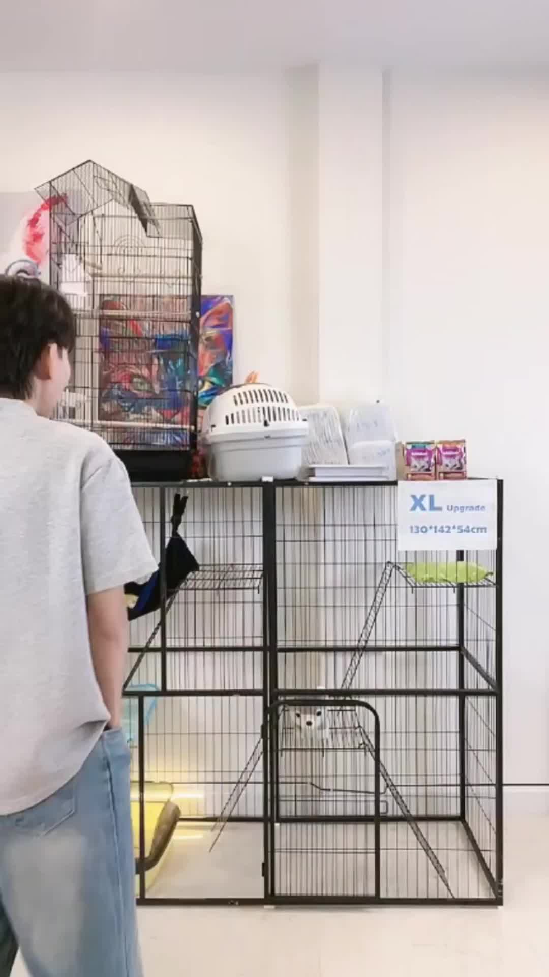 @petsland