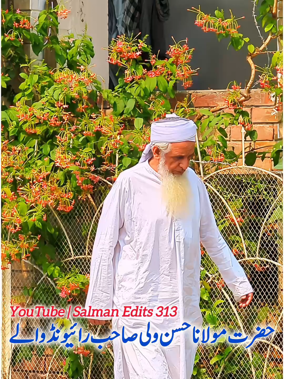 @Salman Ummati®