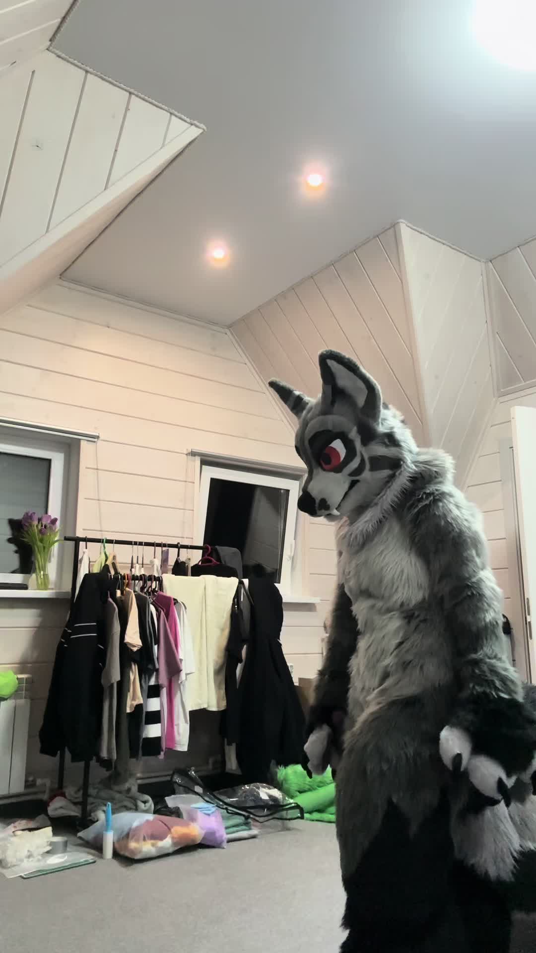 @faster wolf. 🫶