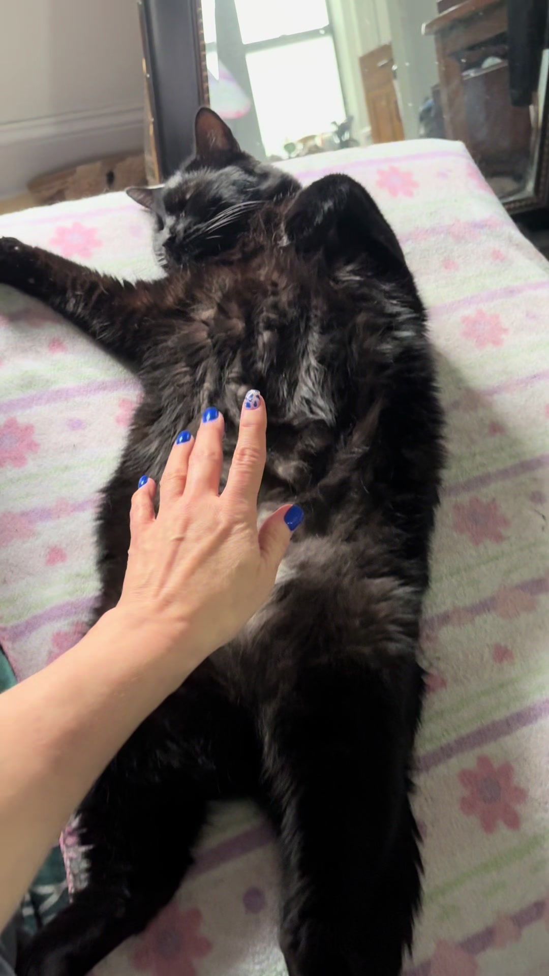 @Azorasworld ft Thackery Binx