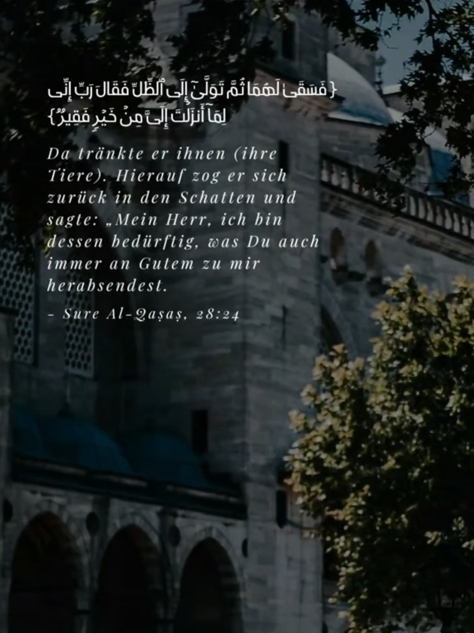 @Koranverse & Hadithe