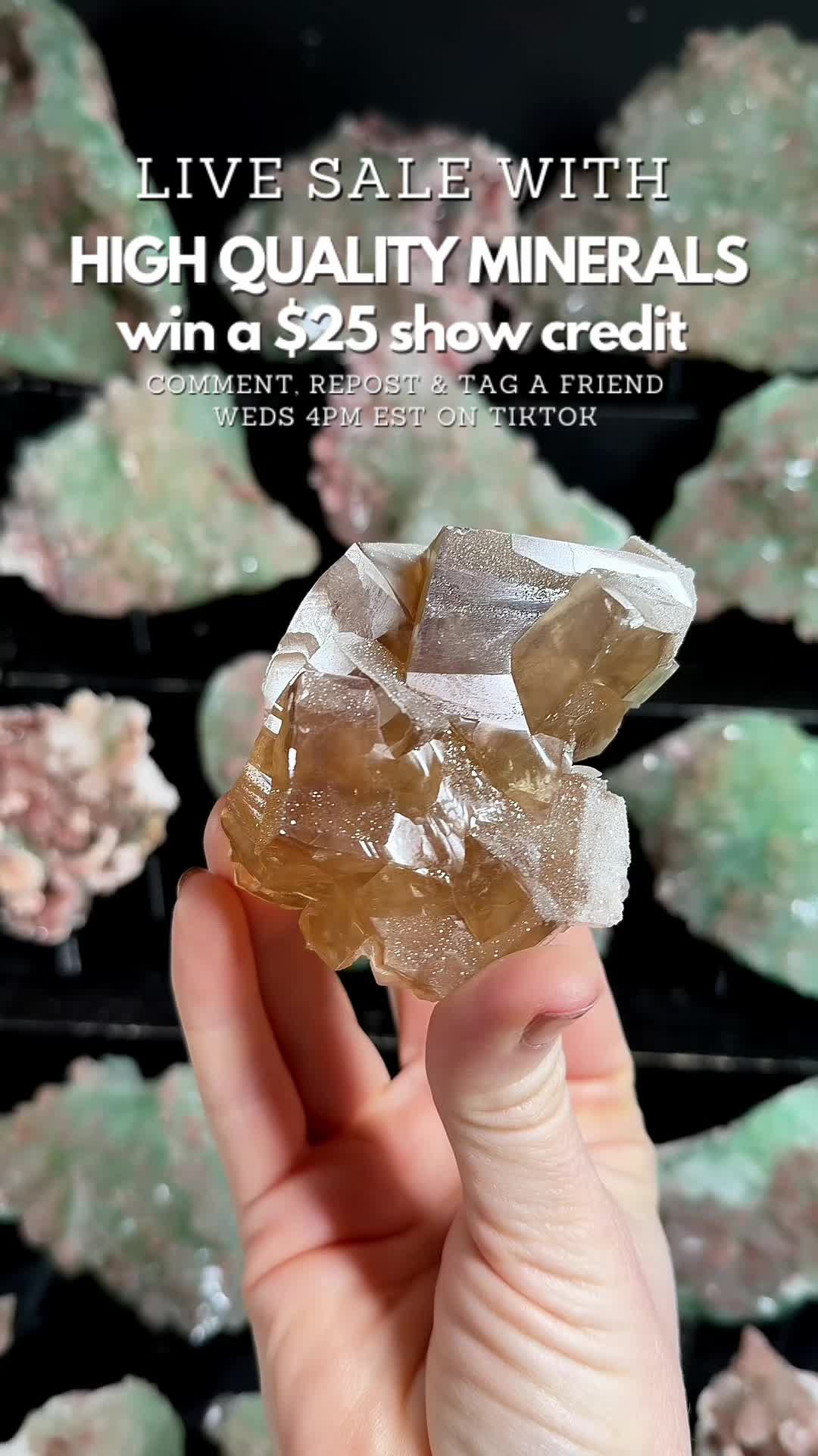@Crystal Live Emporium✨Natalie