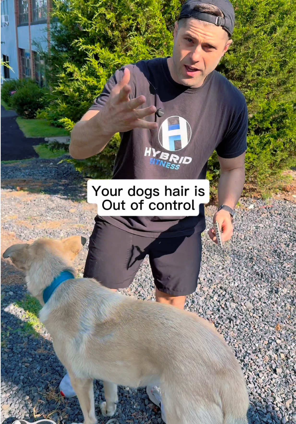 @HybridDoug