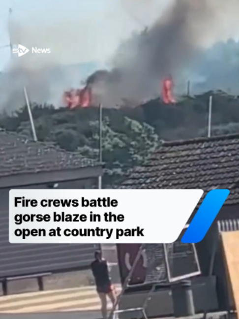 @STV News