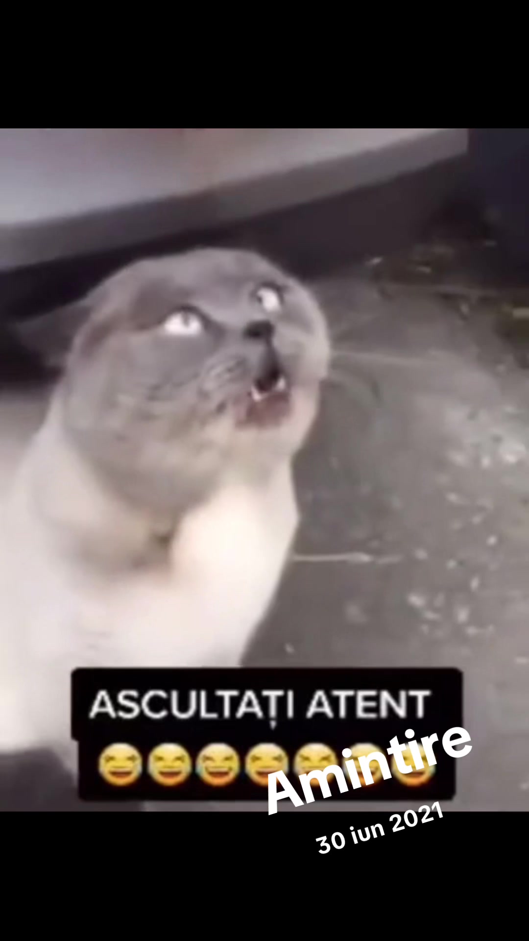 @SubaDaily