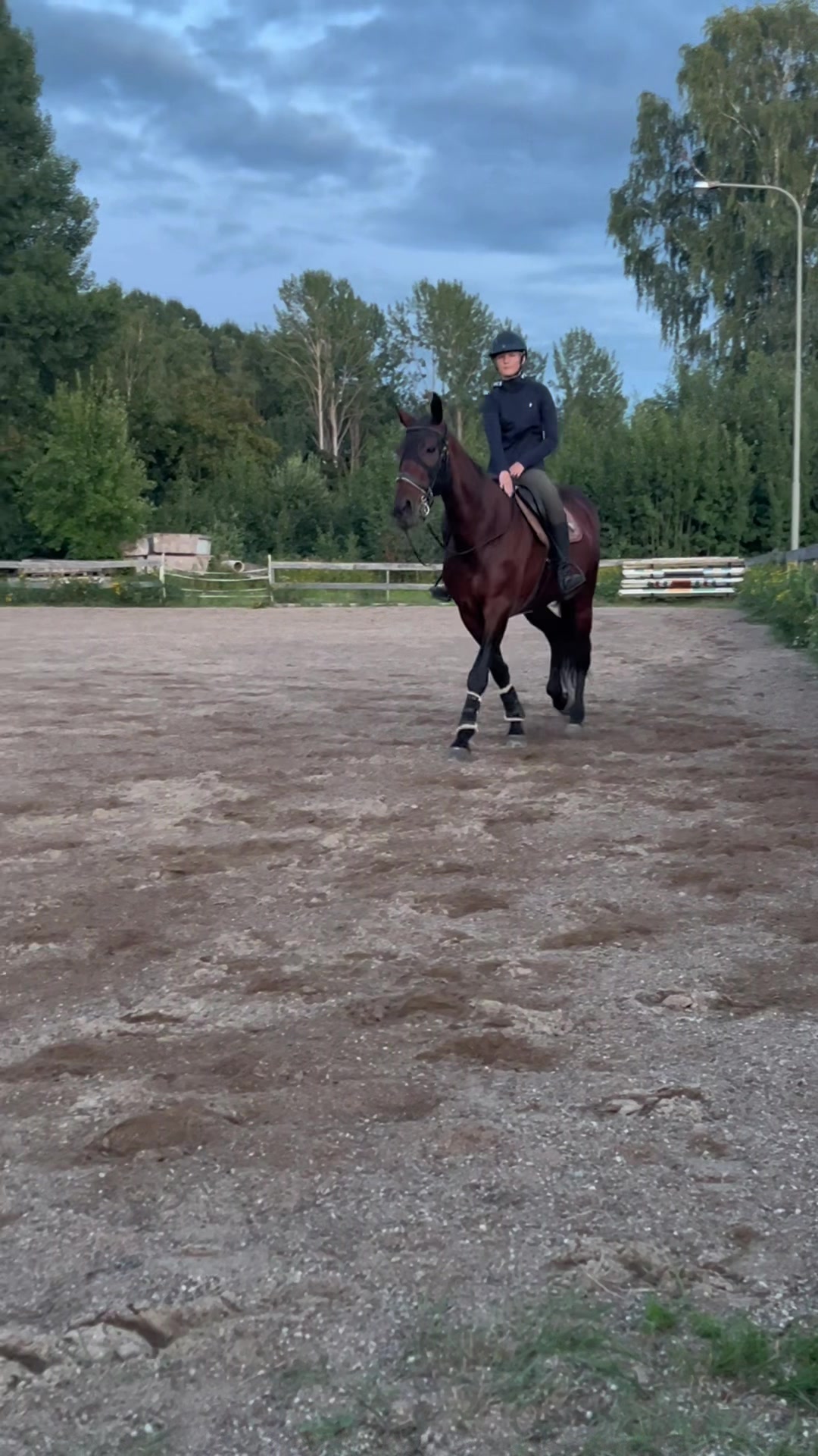 @Ella Grinde🇸🇪