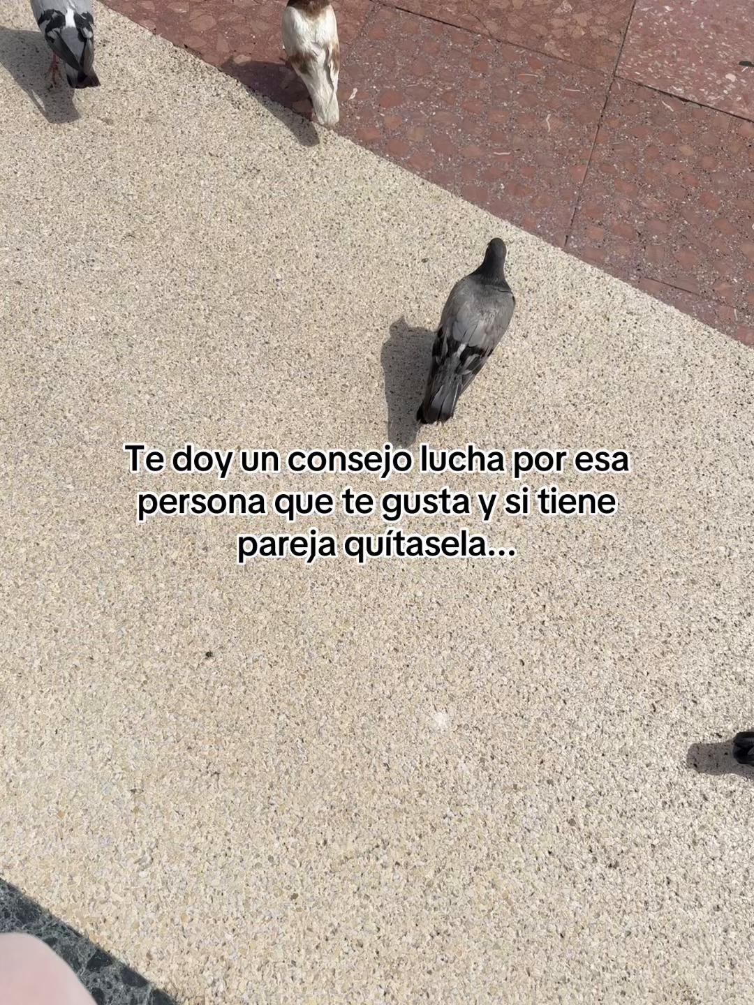 @flakita aly♋️🇪🇸🇬🇹
