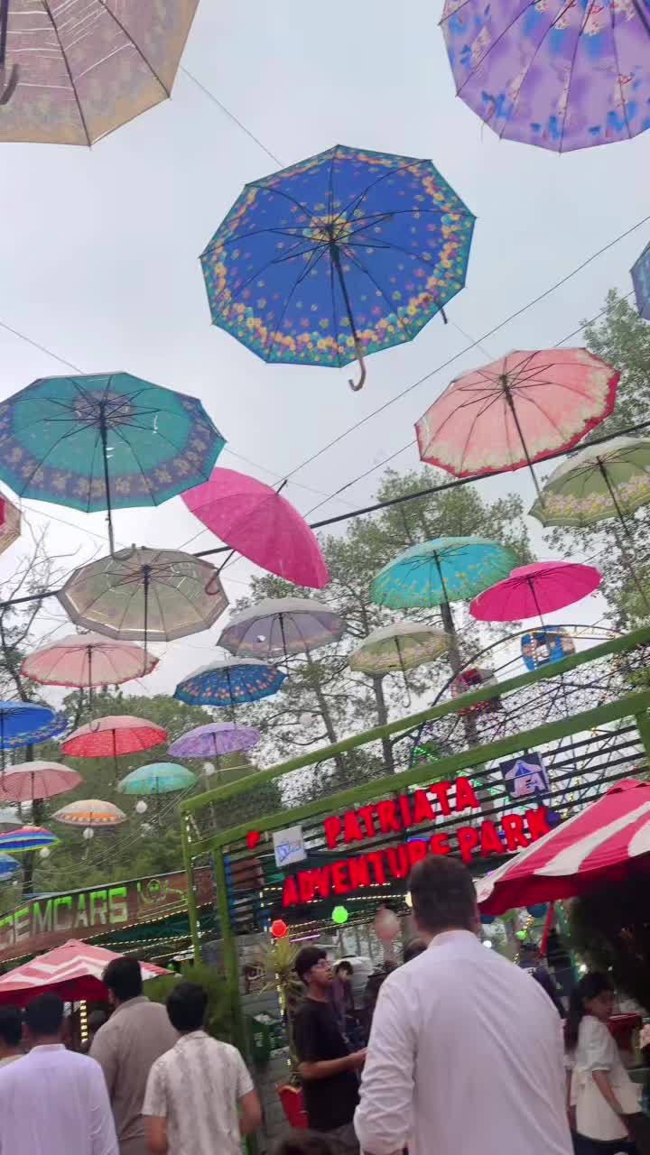 @Itz_Guriya55 live account💛✈️