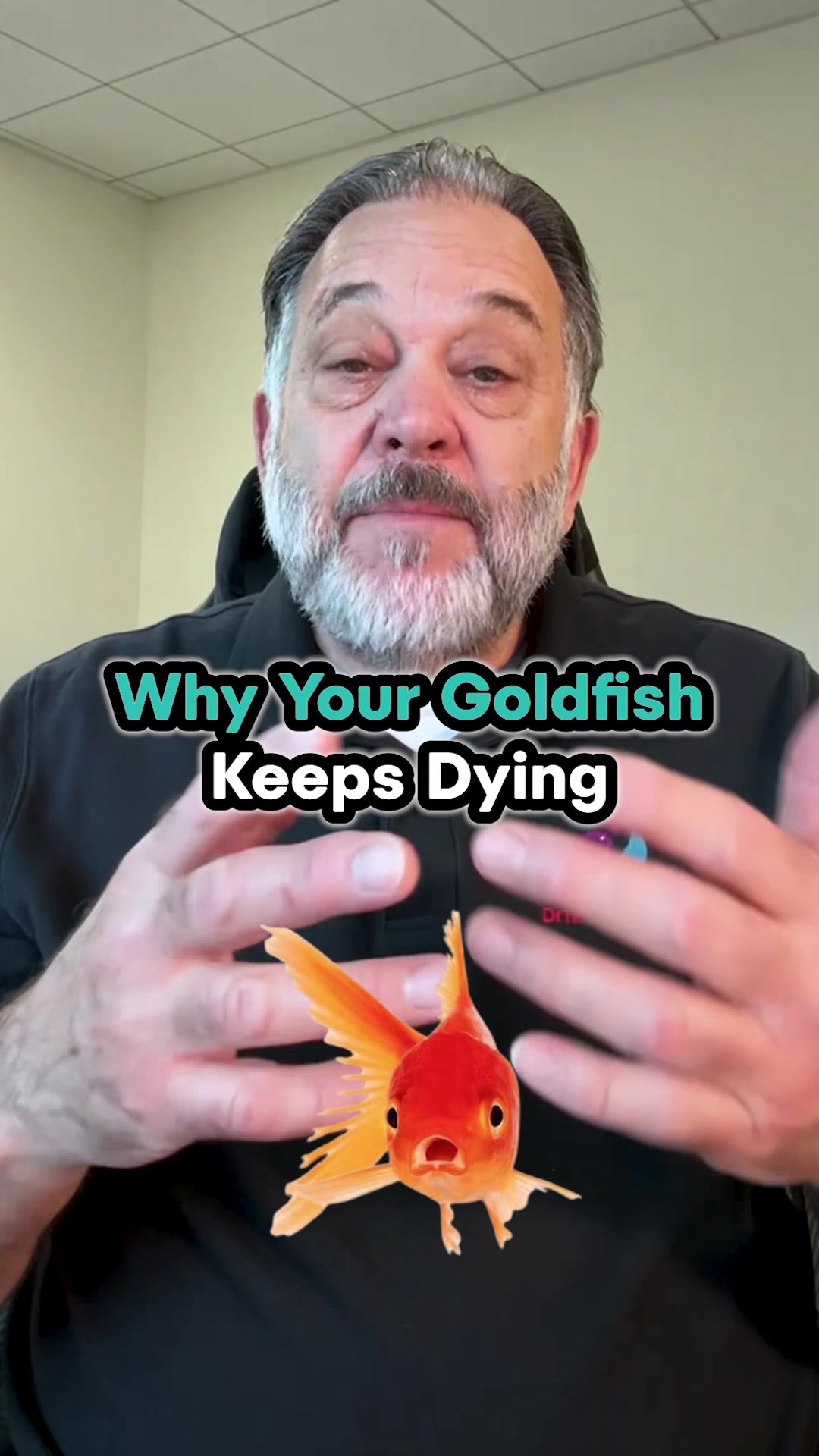 @DrTim