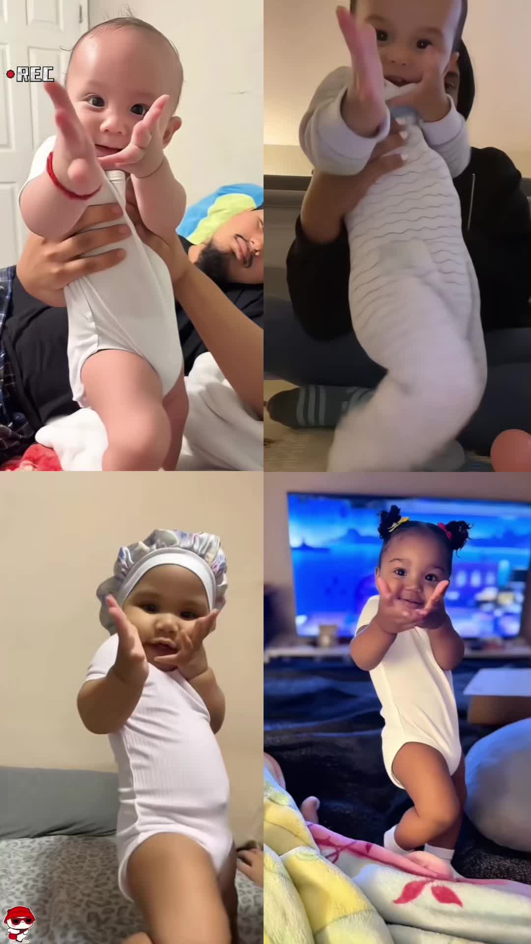 @wushifasheng