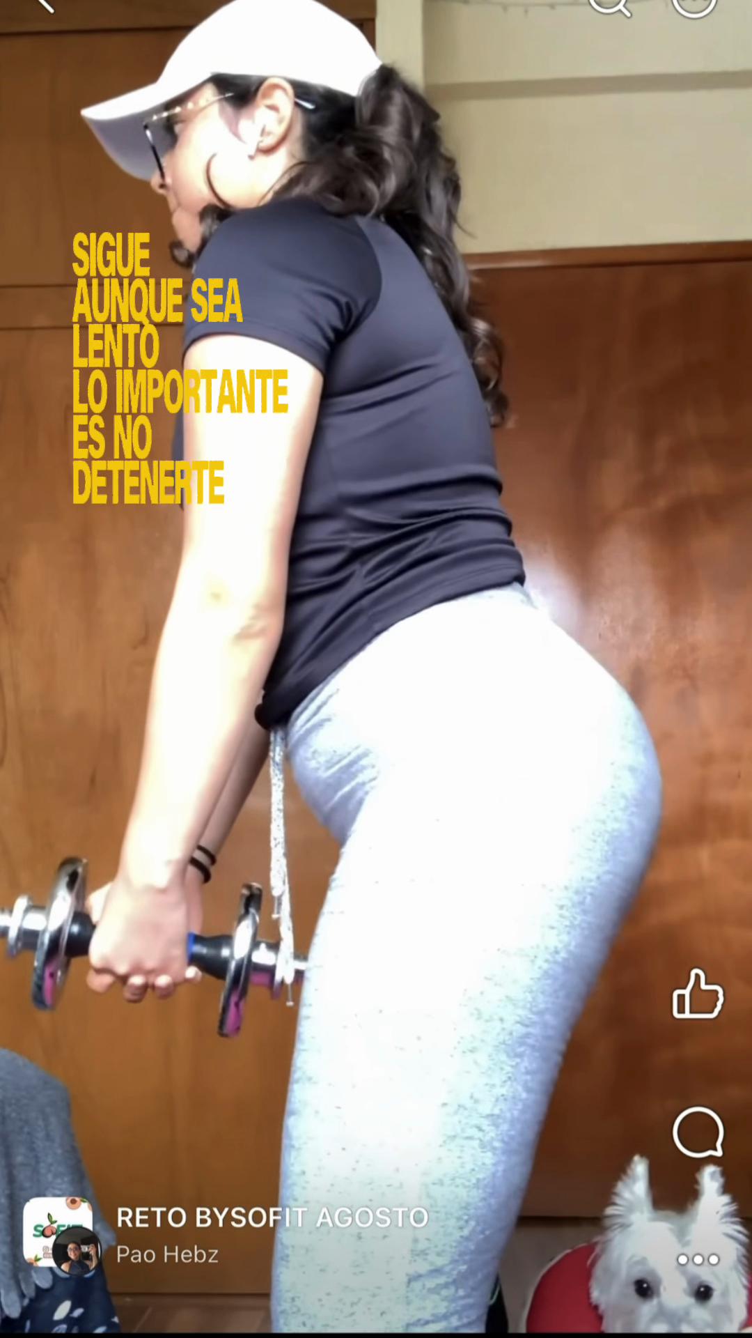 @paohebz