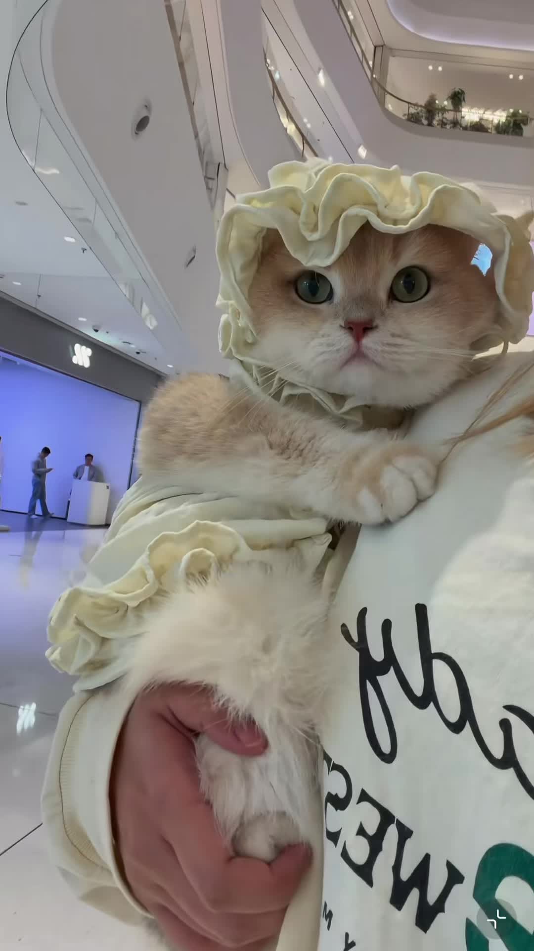 @My Daily Dose of Aww