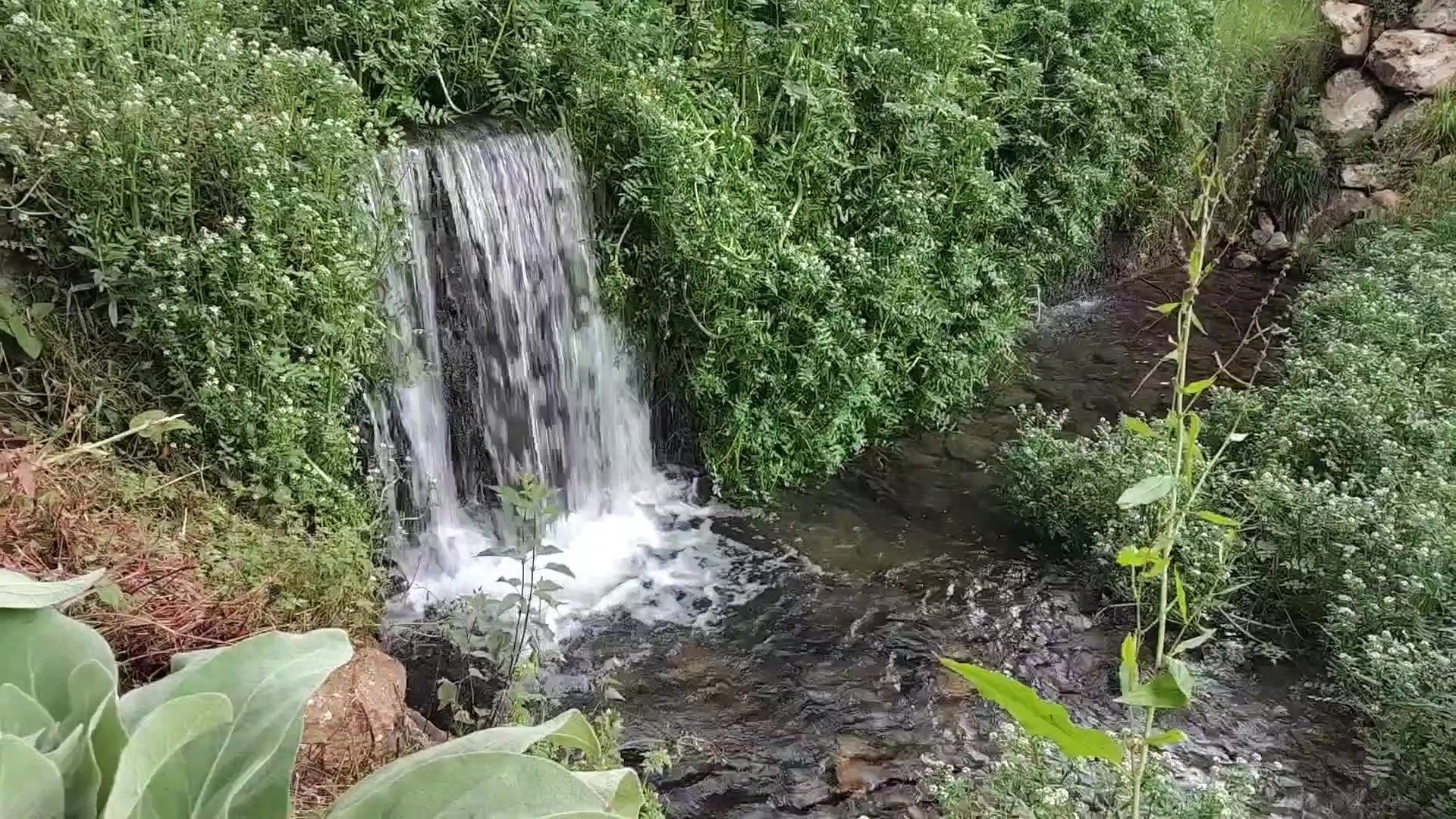 @Protezione Natura