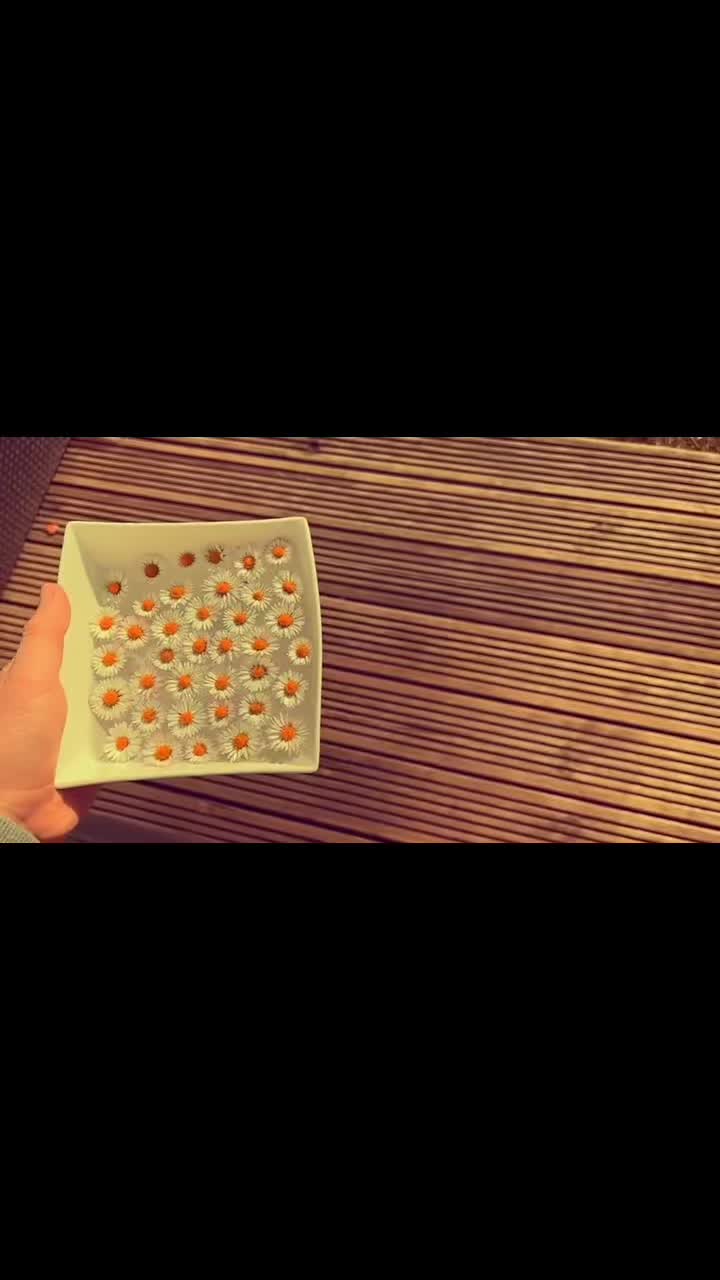 @_nostalgiafeed