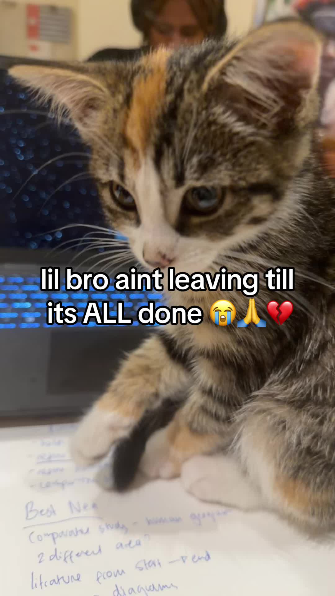 @Itswenda