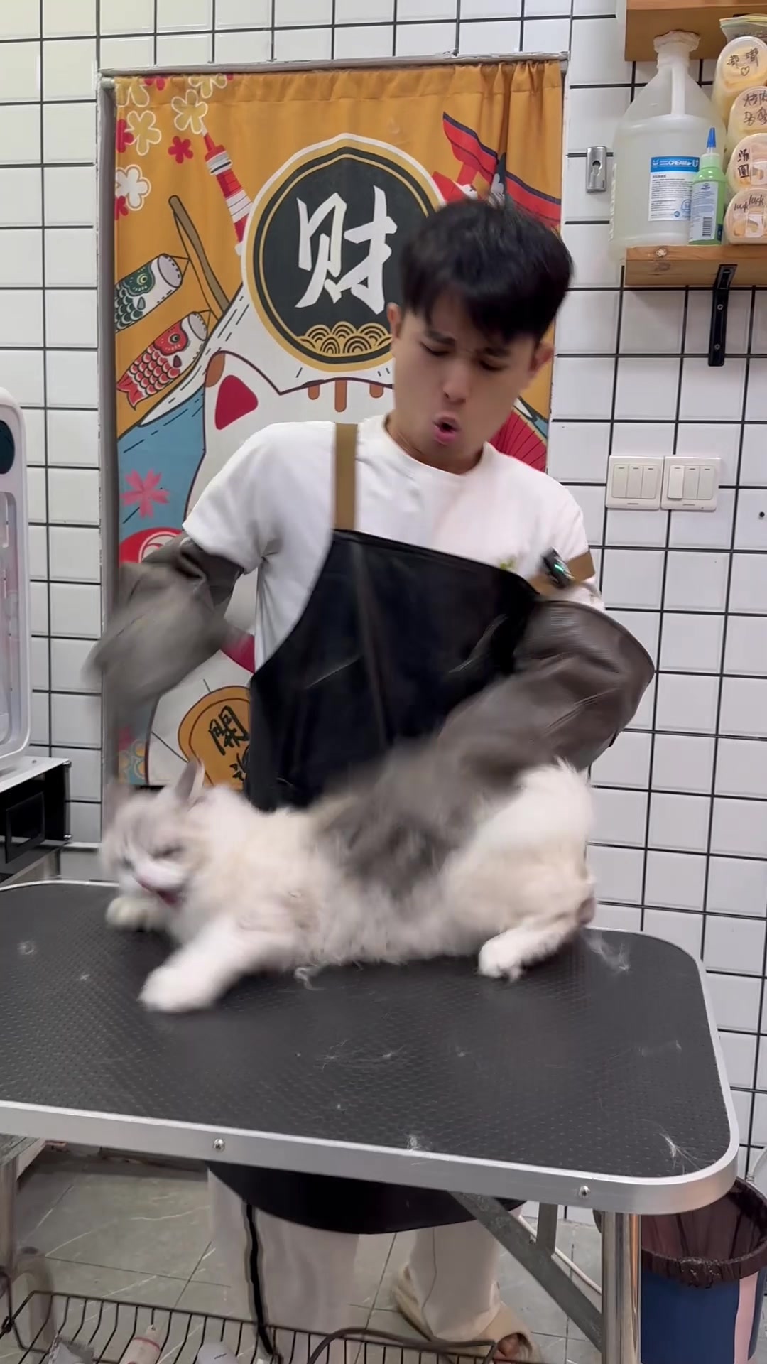 @washing.cats