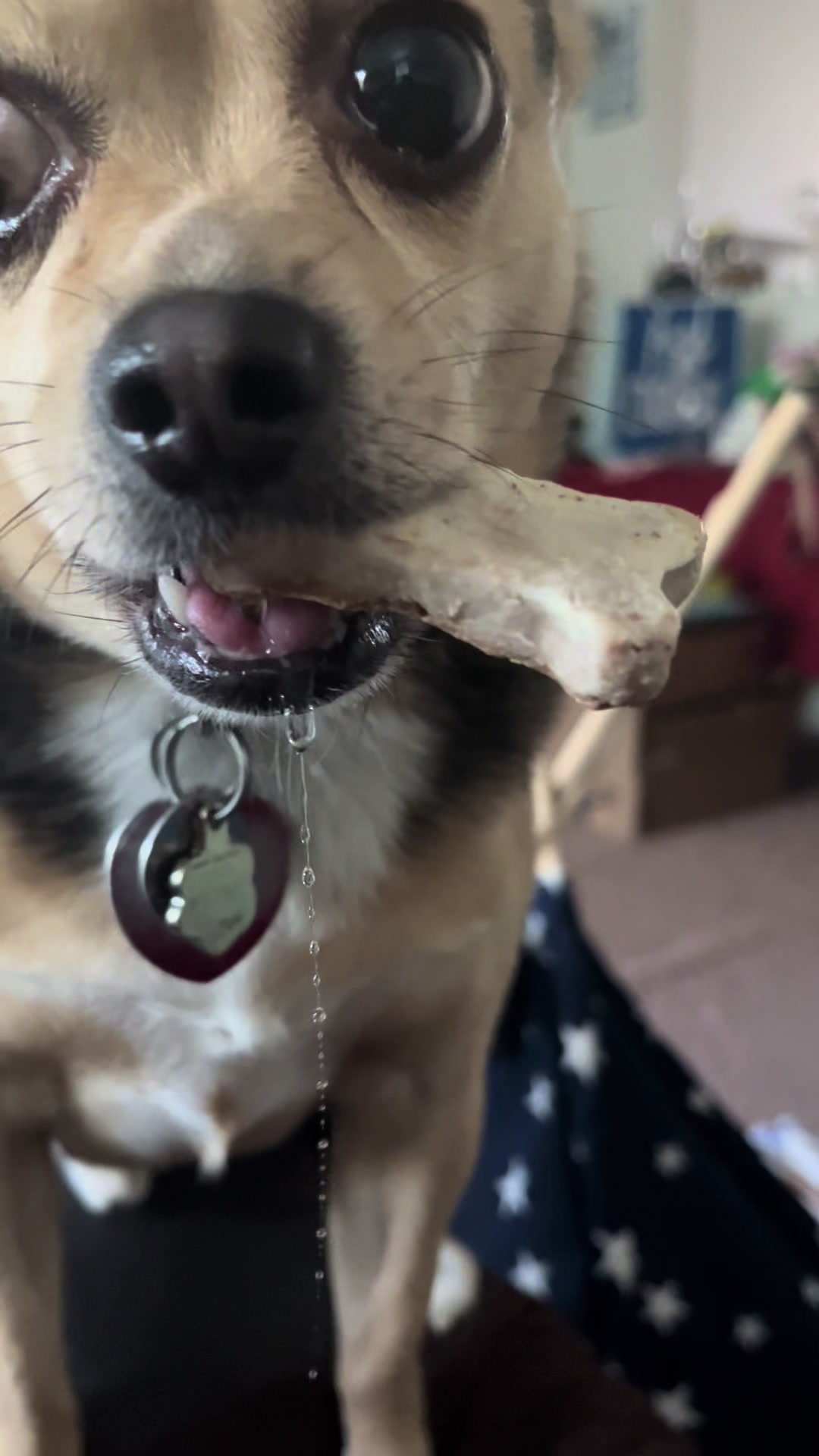 @Whiskeyandtennessee