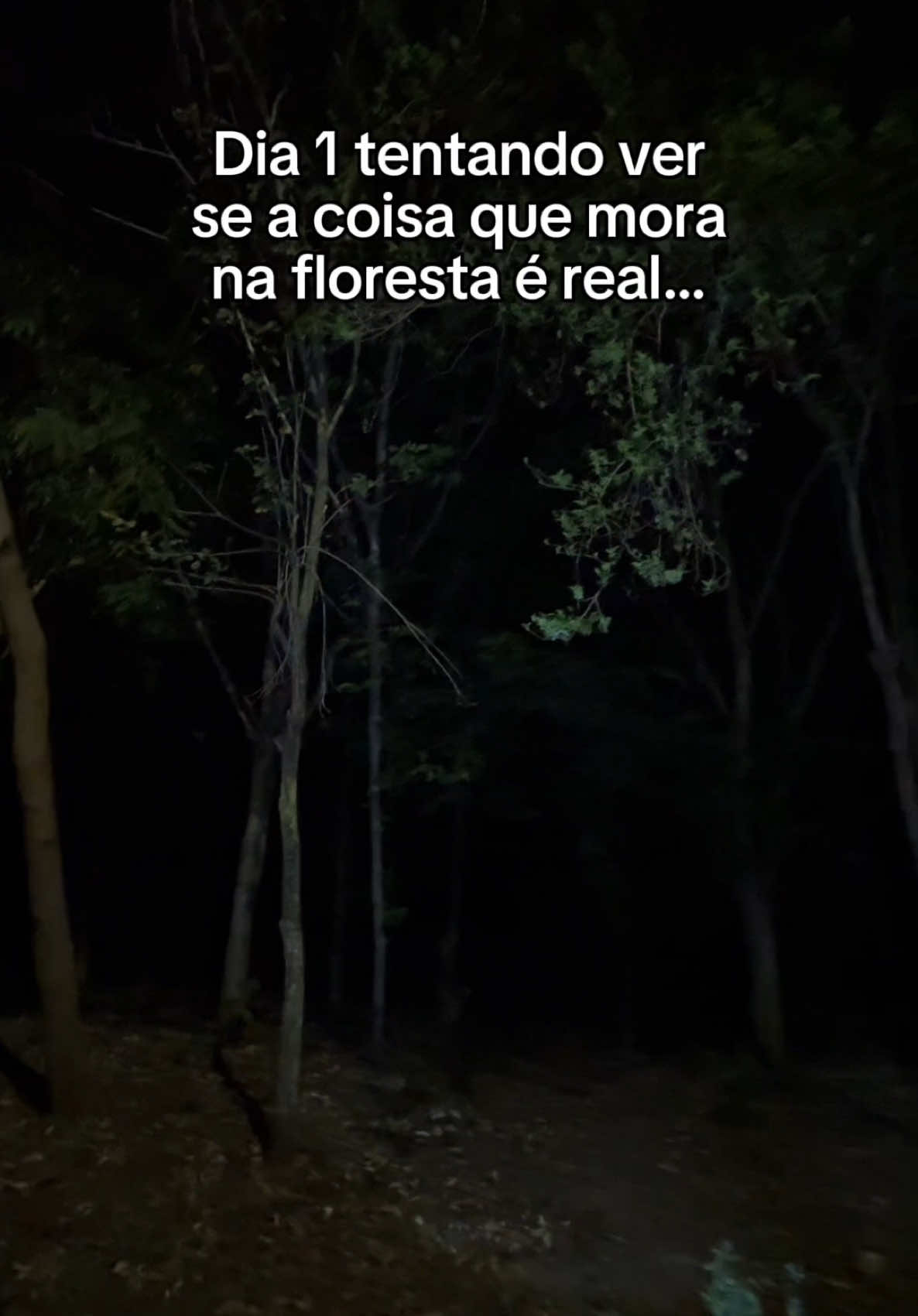 @Felipe Cardoso