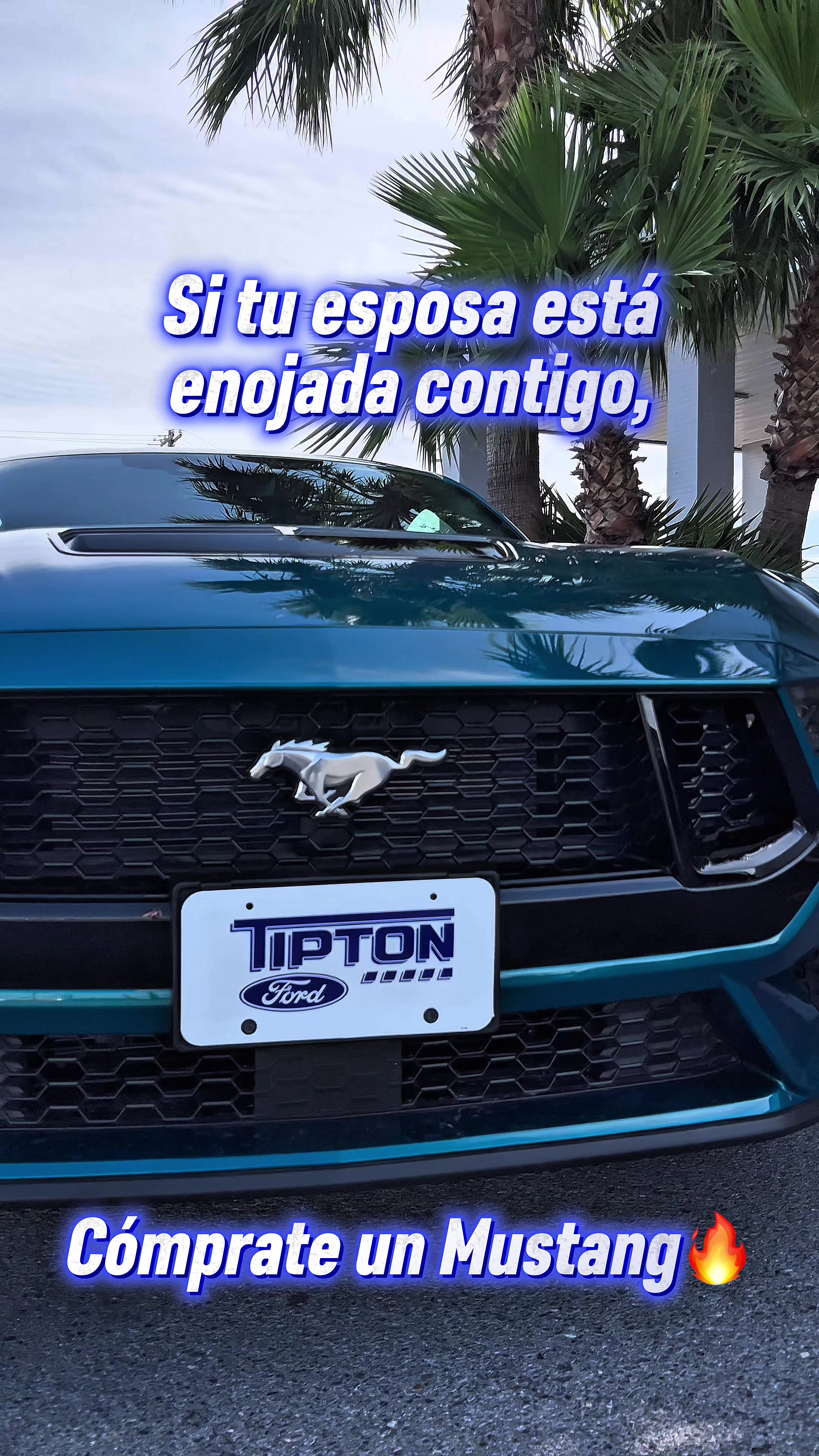 @tiptonfordbrownsville