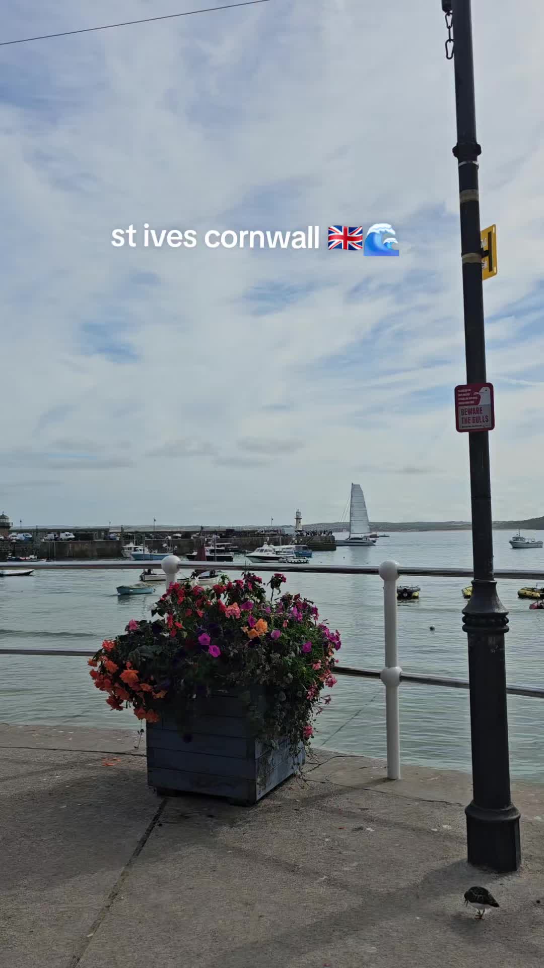 @@StIvesDaily