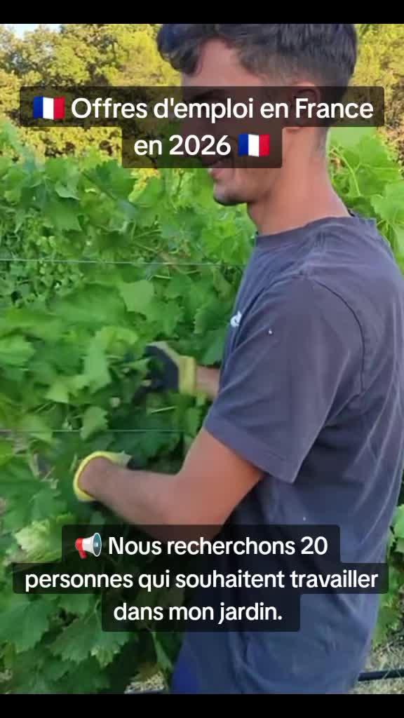 @user54934111670