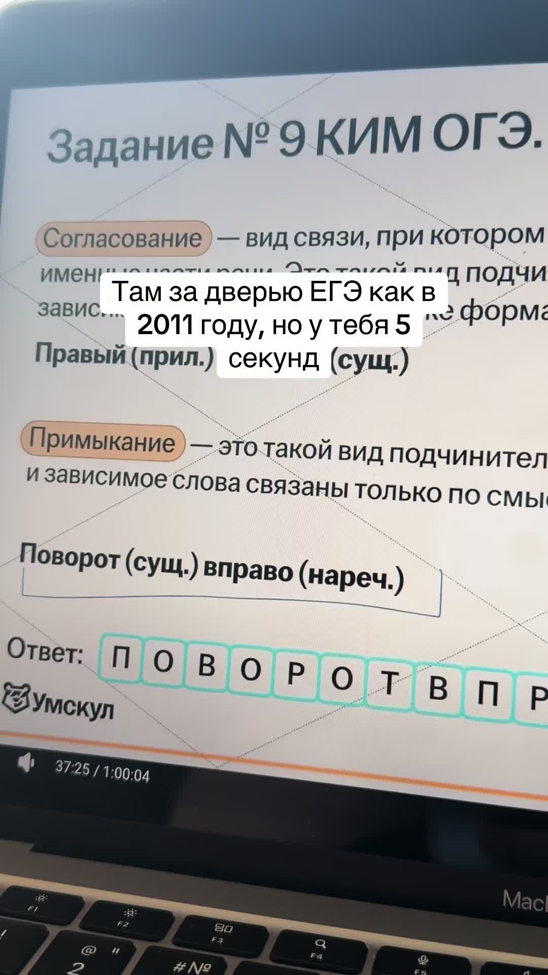 @oleksia🌷