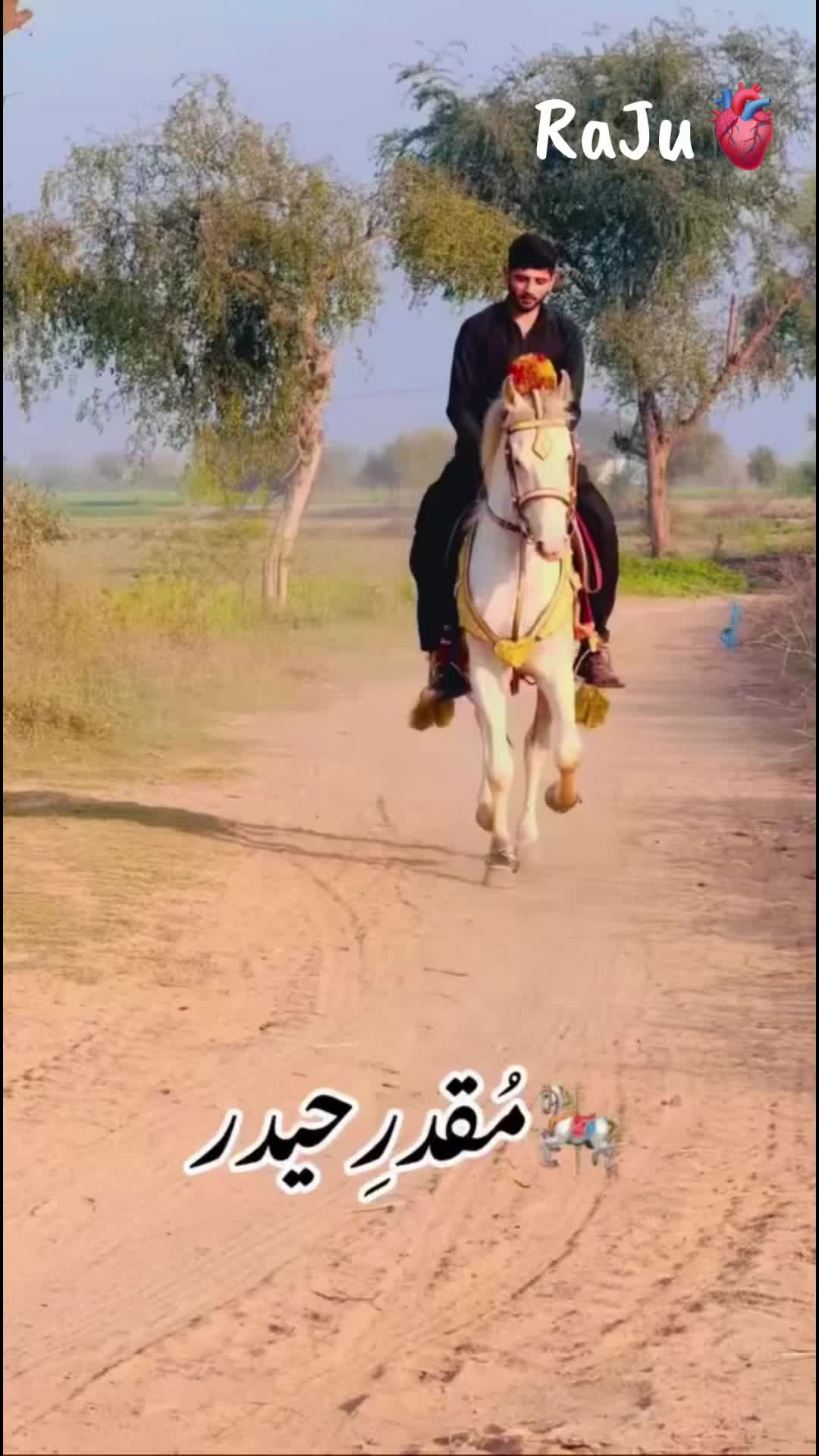 @ملک گجرات آلہ 🫀🫂🫶🏻