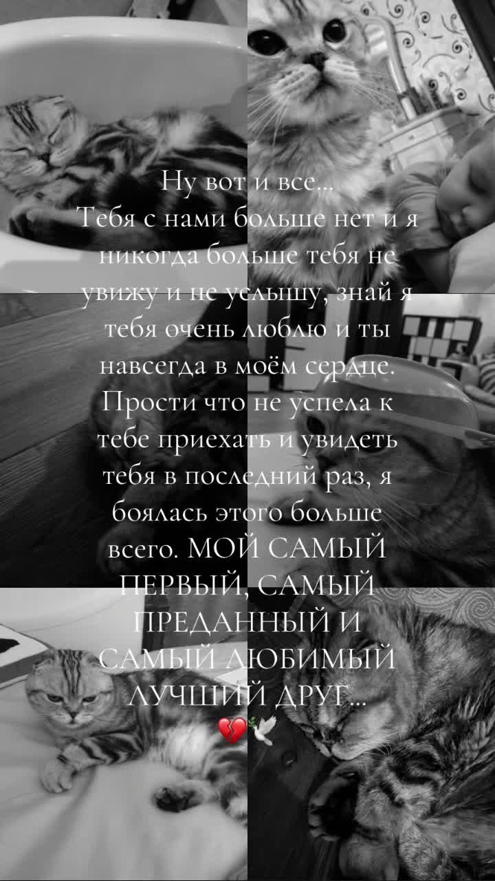 @:𝑉𝑖𝑘𝑢𝑙𝑥𝑥𝑞|༒︎🪽
