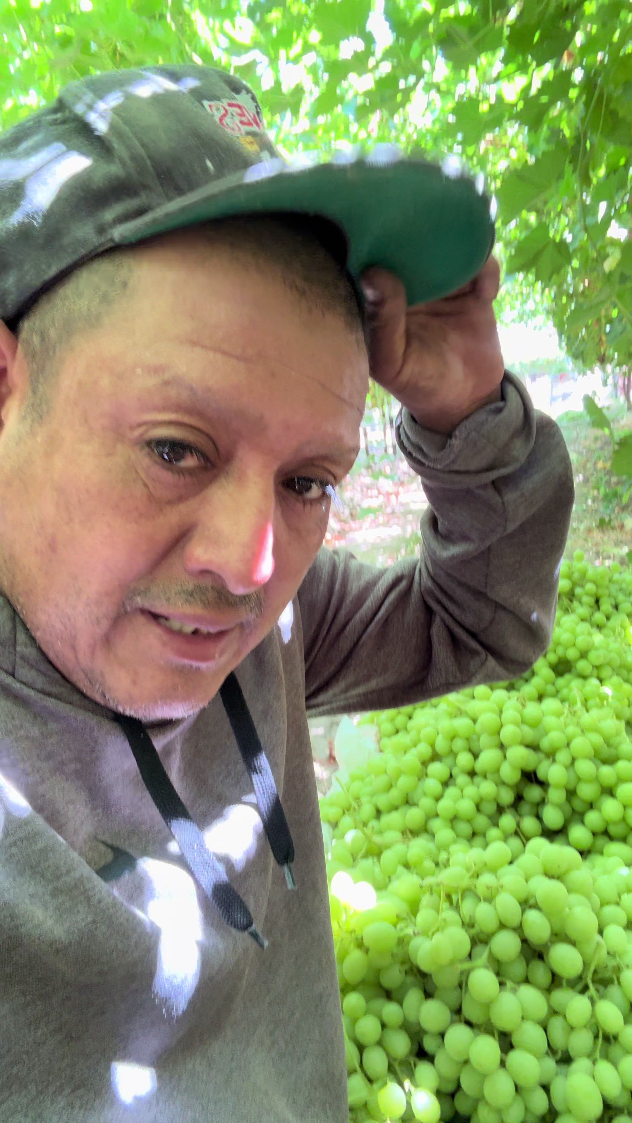 @🎤🐸chiquilin Martínez Vlog🍇