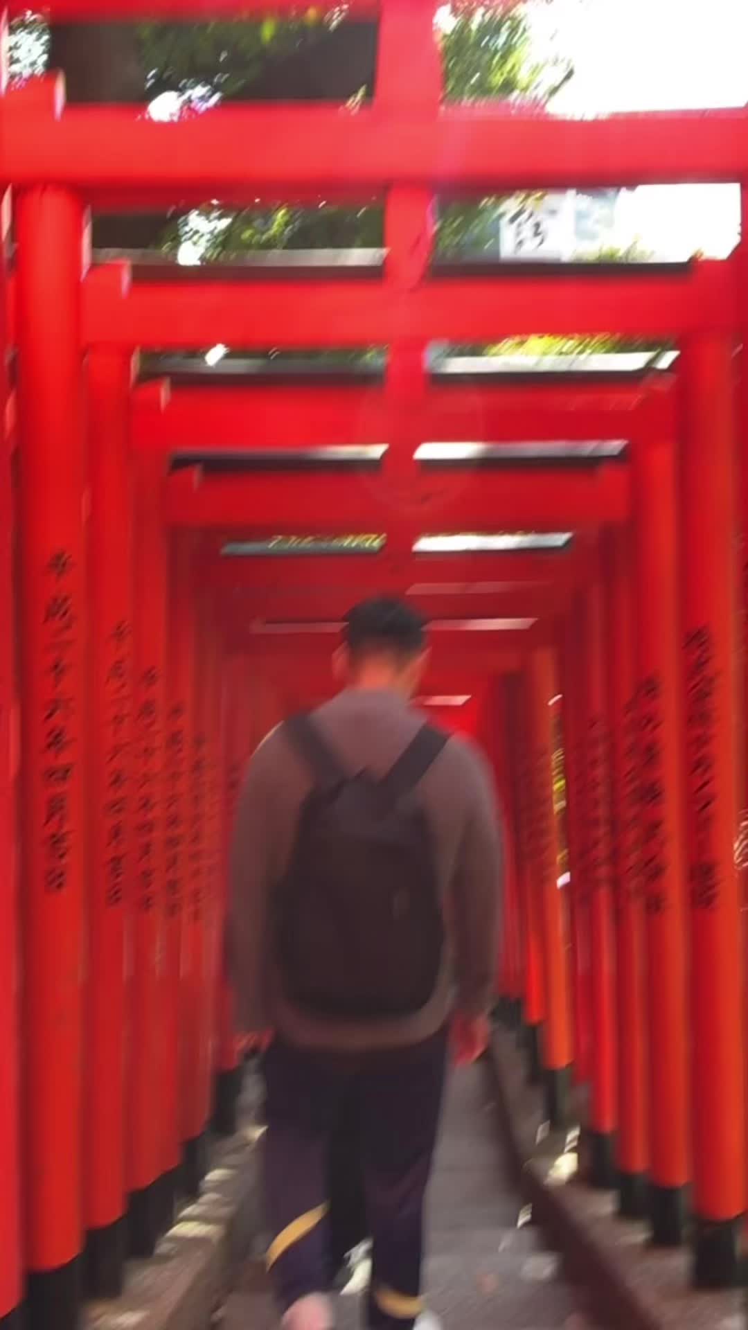 @Dodlebawb