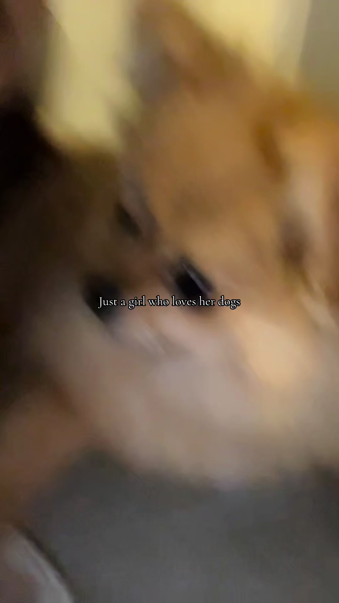 @𝑆𝑢𝑑𝑒