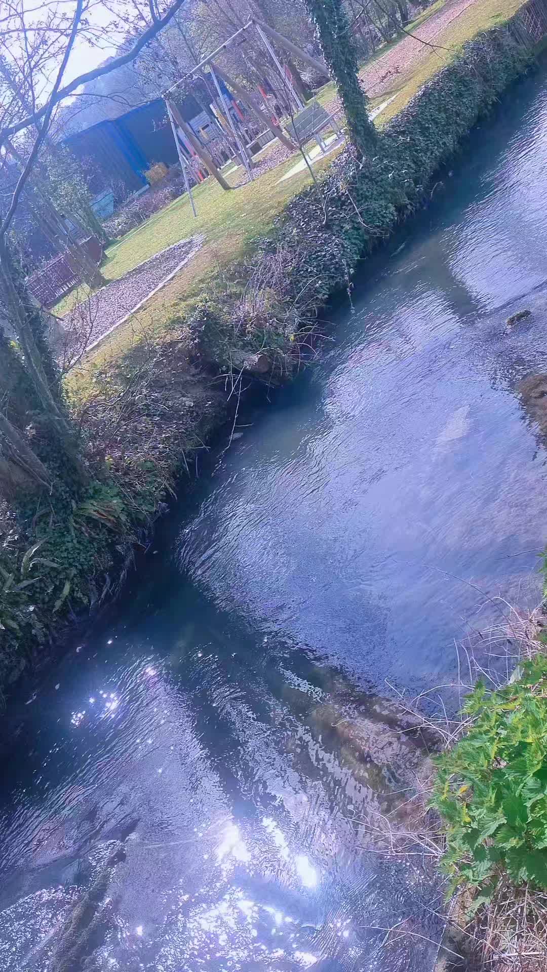 @ማነዉ ያለዉ 😍🛍✌️ 🕊🏵🍇