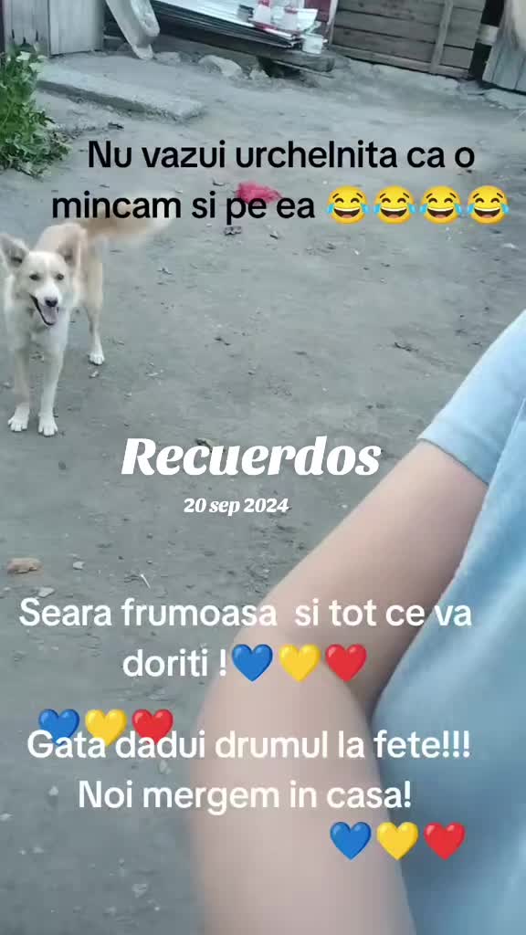 @vio